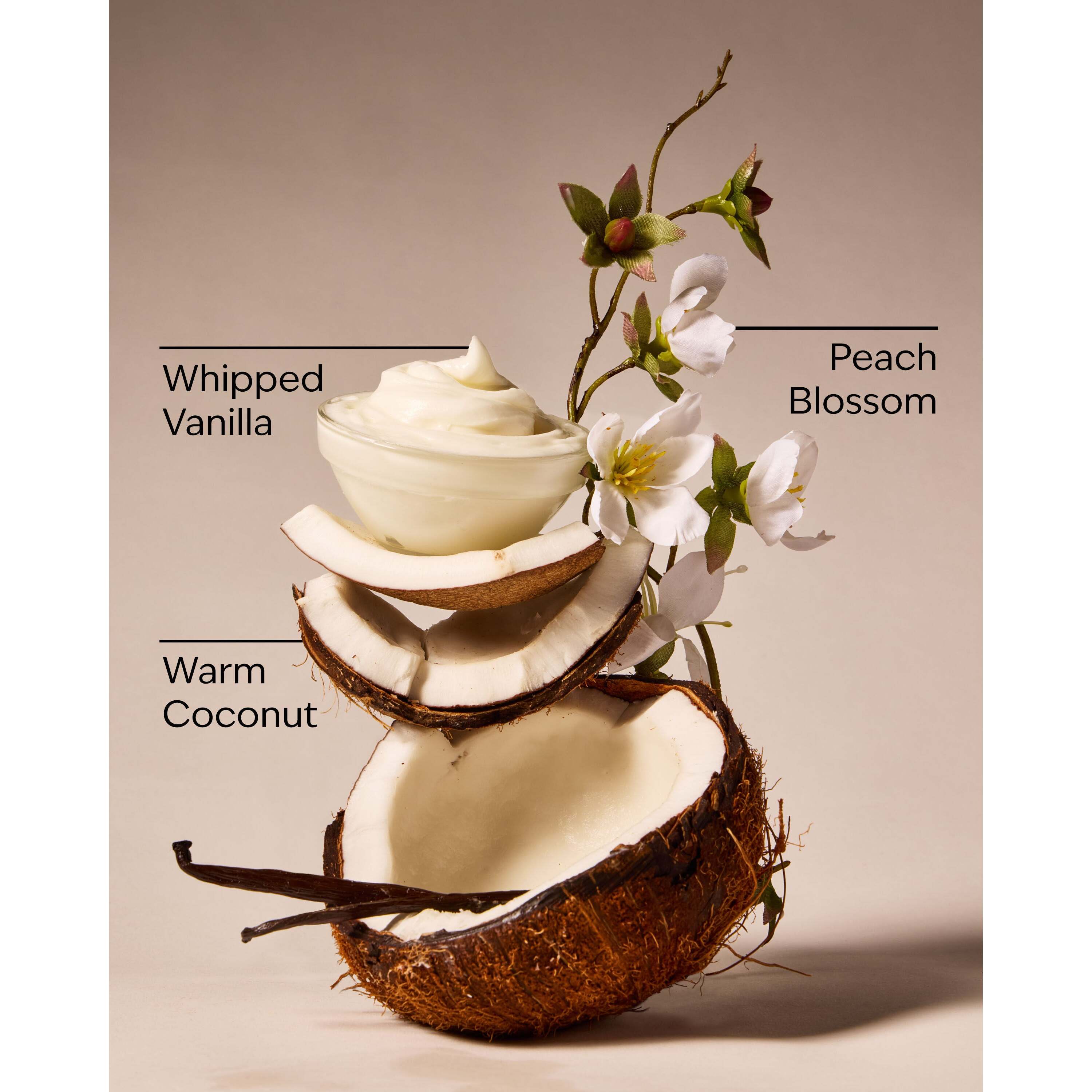 Vanilla Coconut Wallflowers Refills 2-Pack - Image 3