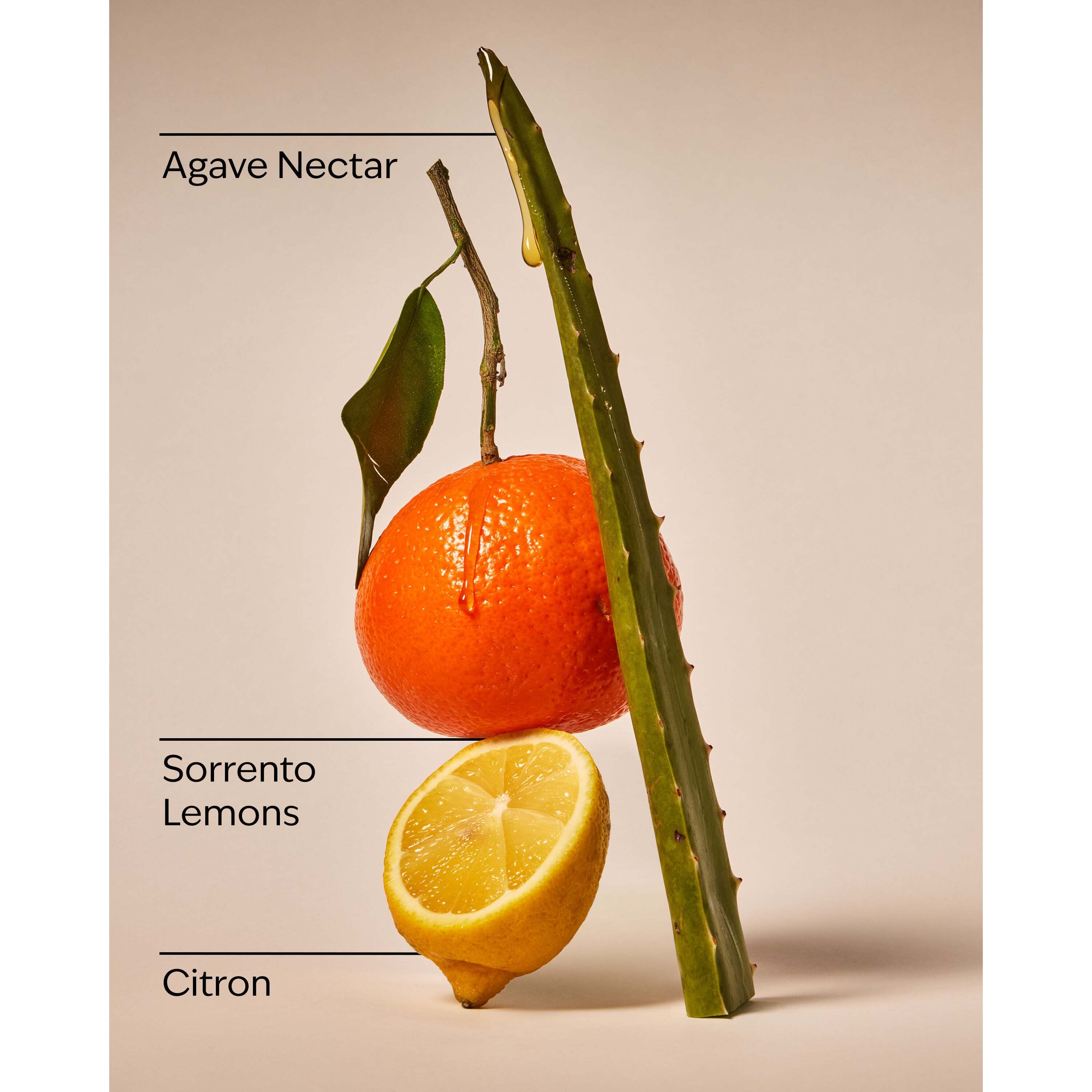 Sunwashed Citrus Wallflowers Refills 2-Pack - Image 3