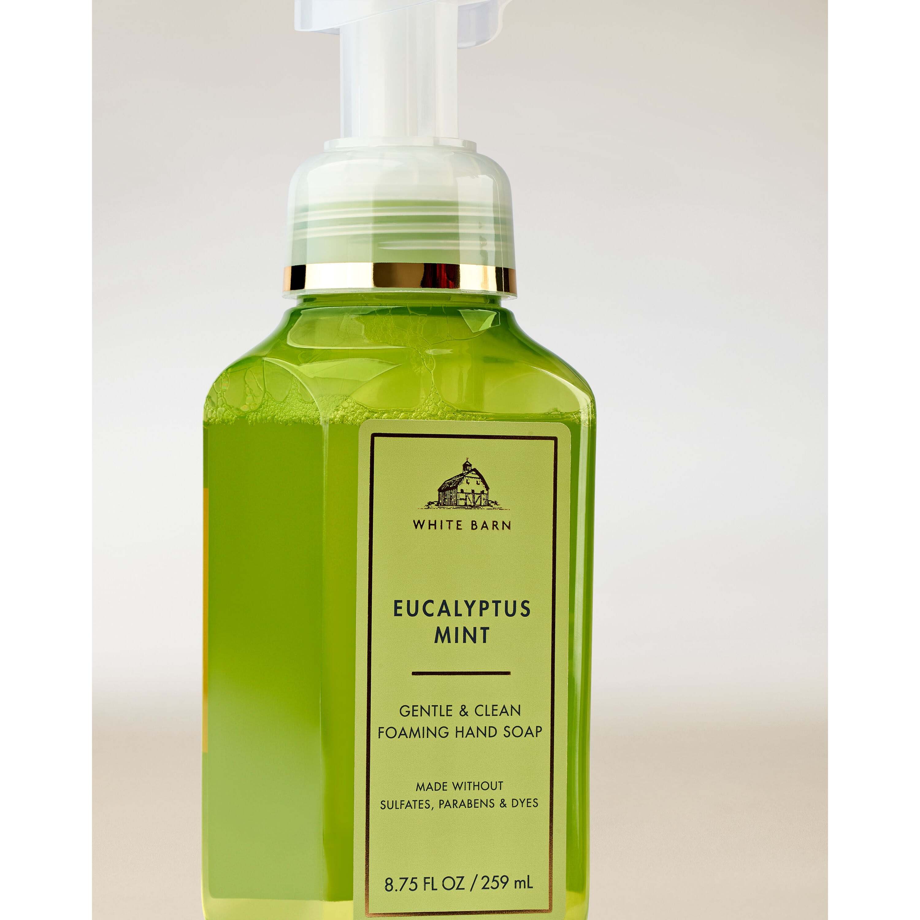 Eucalyptus Mint Gentle & Clean Foaming Hand Soap - Image 2