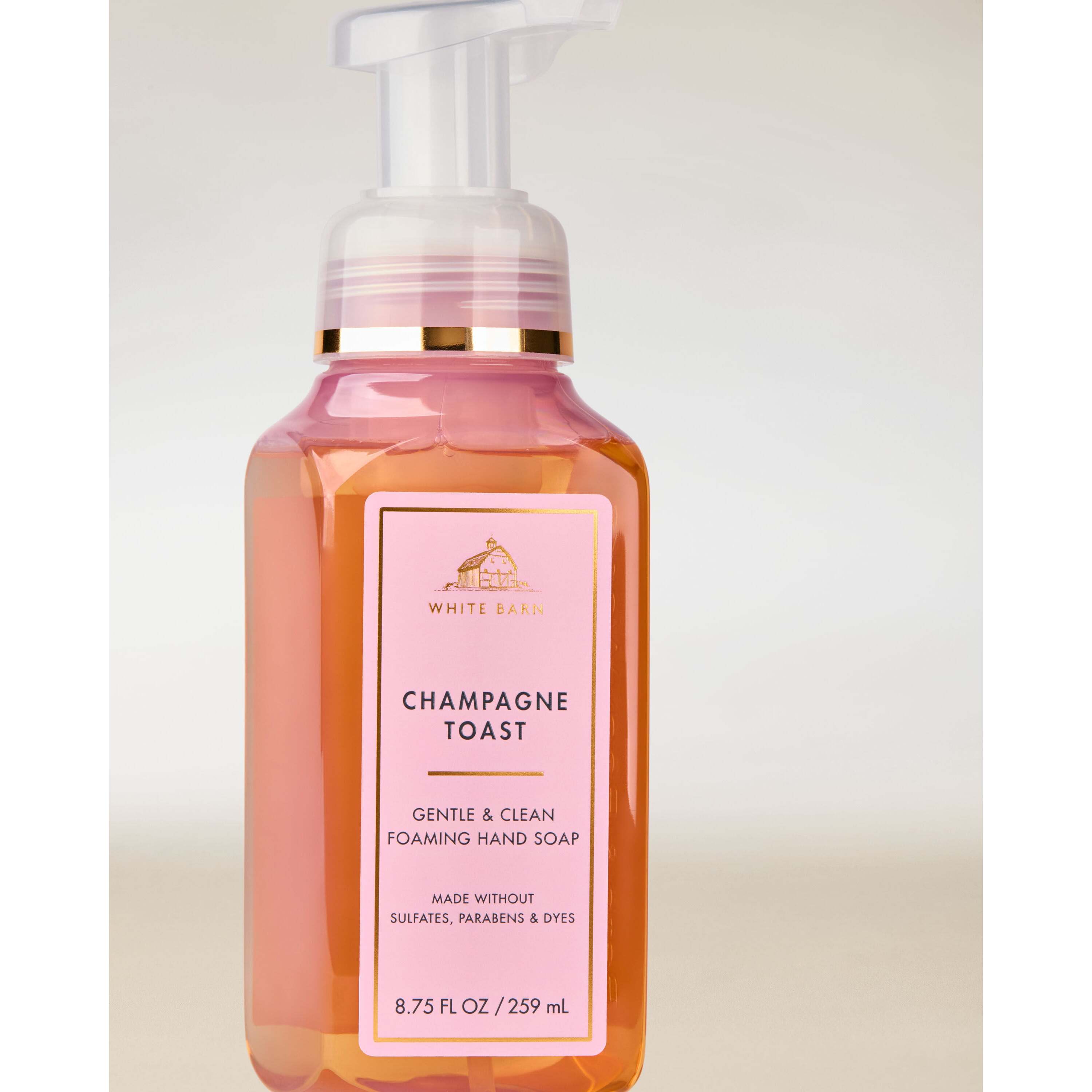 Champagne Toast Gentle & Clean Foaming Hand Soap - Image 2