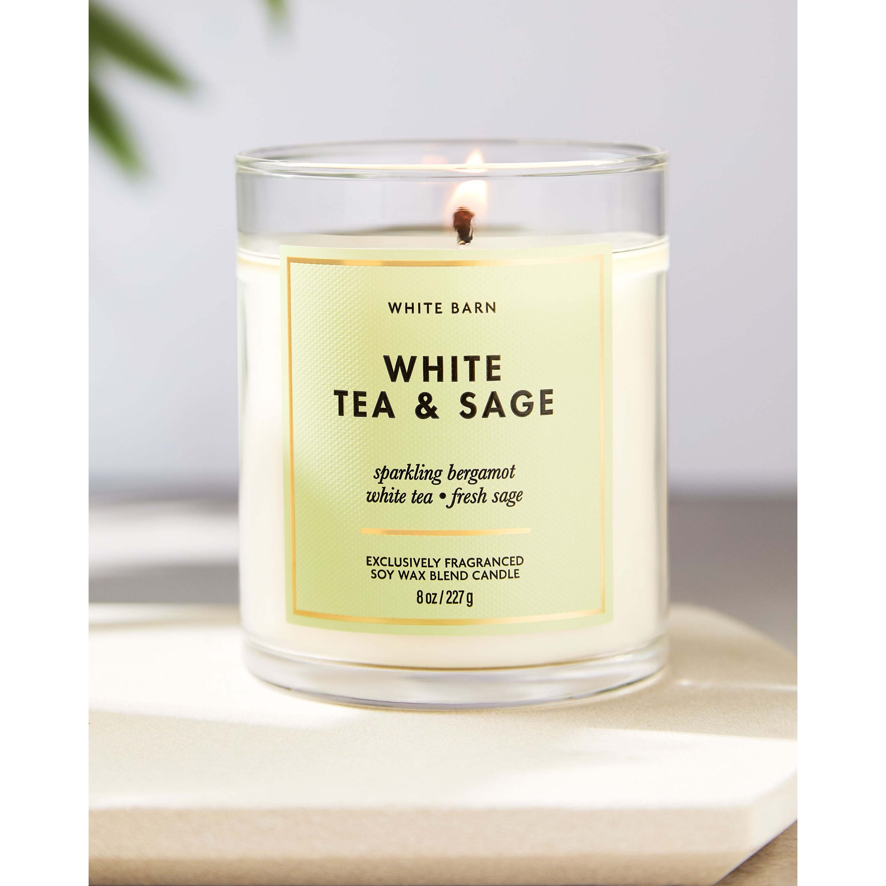 White Tea & Sage Single Wick Candle - Image 6