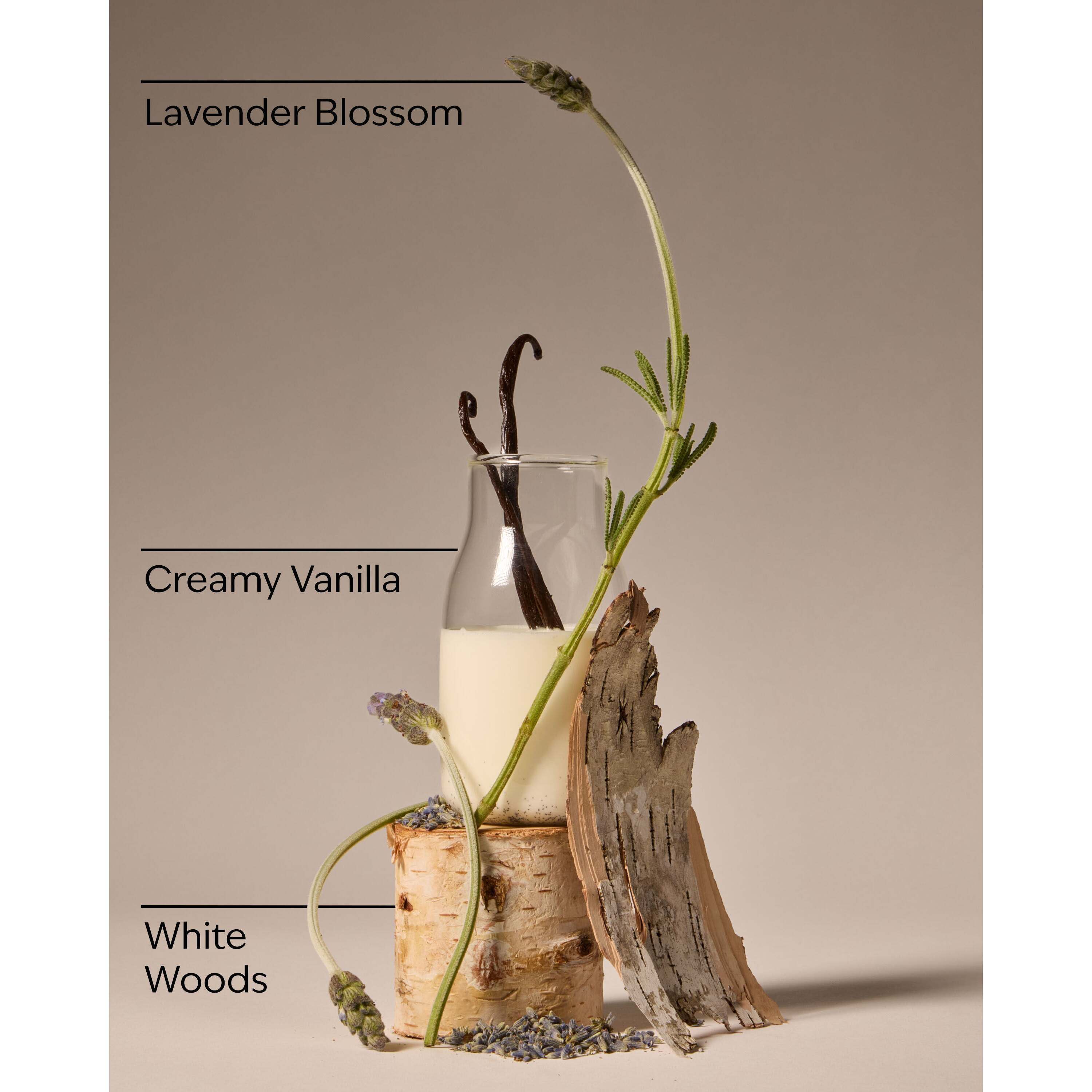 Lavender Vanilla Wallflowers Fragrance Refill - Image 3