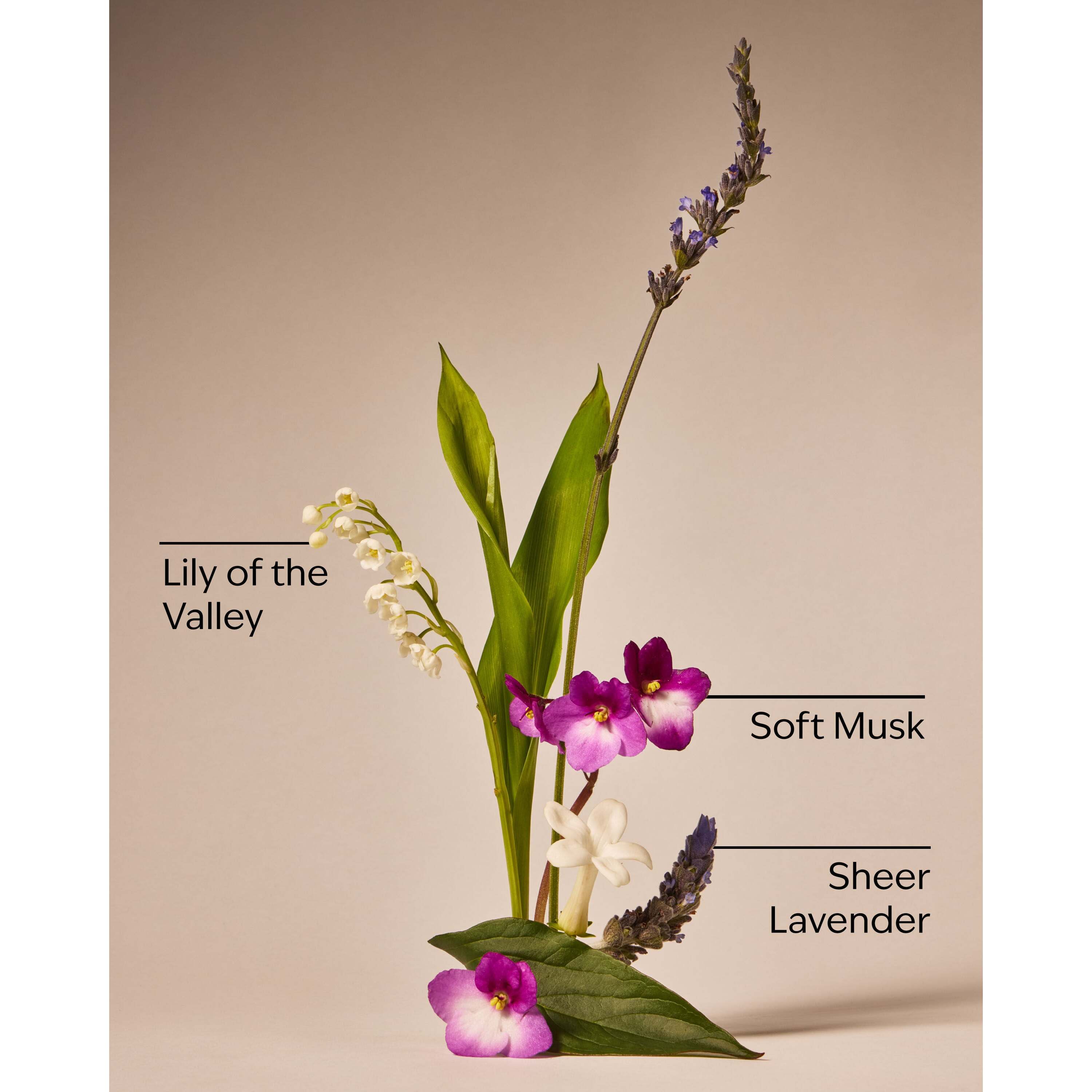 Moonlight Path Fine Fragrance Mist - Image 3