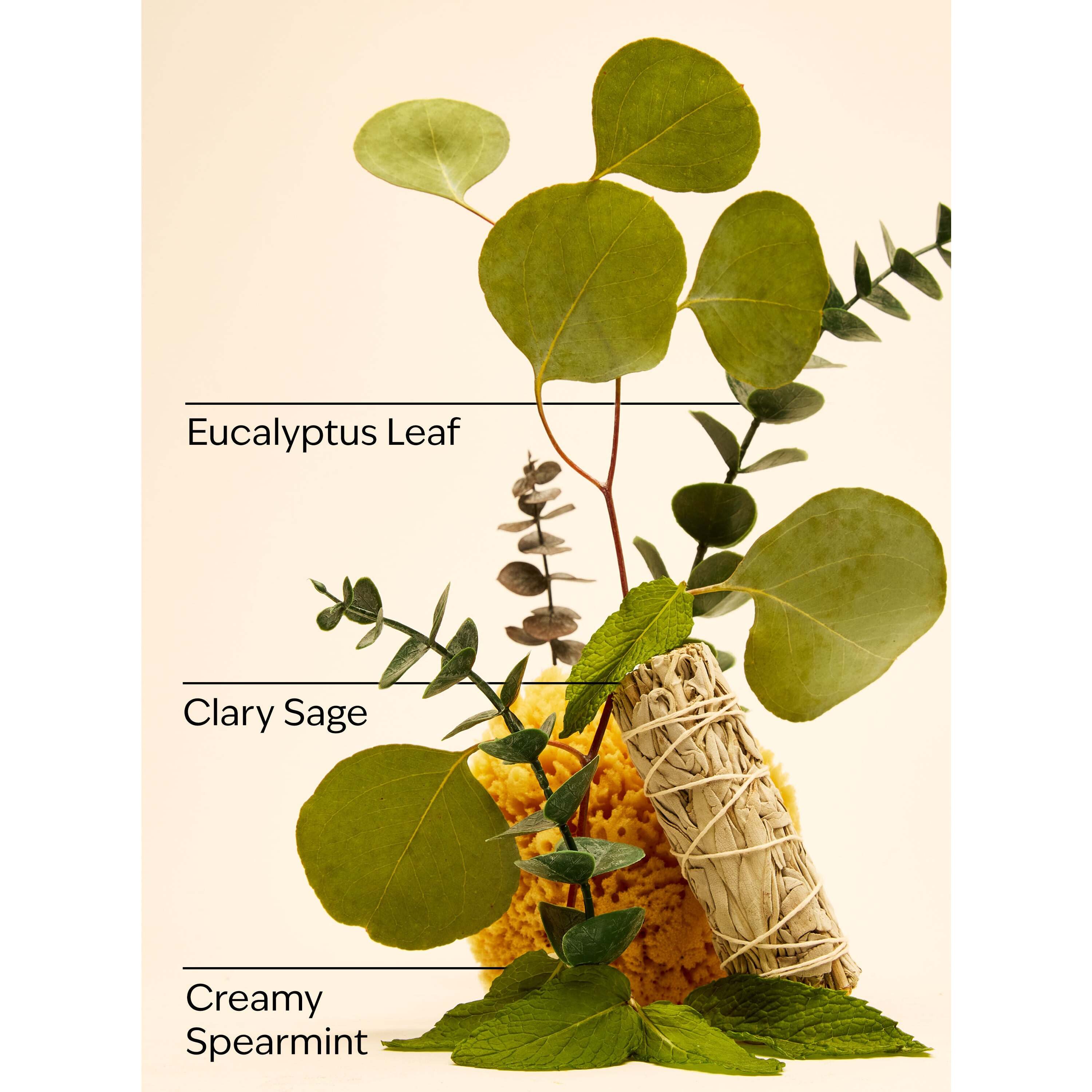 Eucalyptus Mint Gentle & Clean Foaming Refill - Image 3