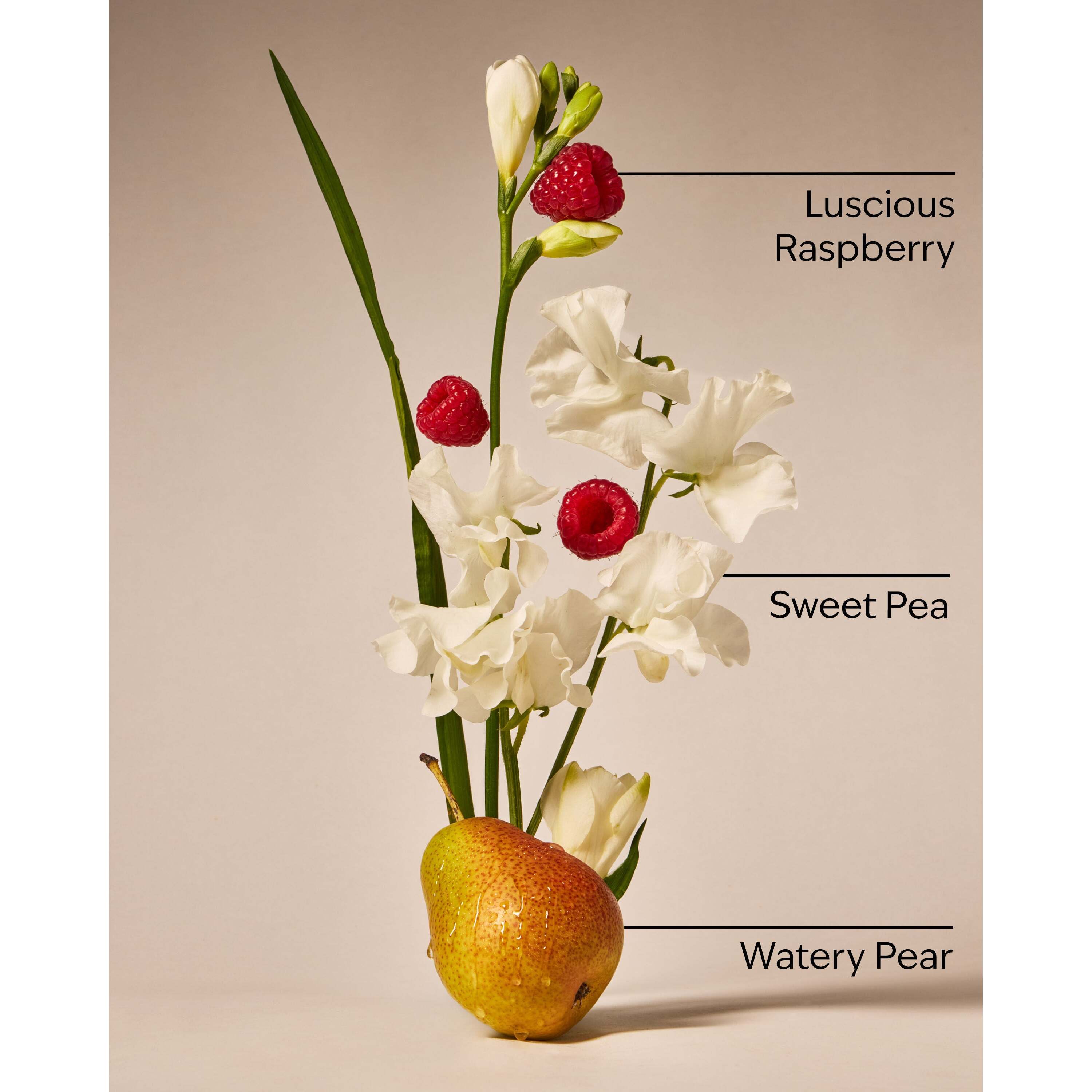 Sweet Pea Body Lotion - Image 3