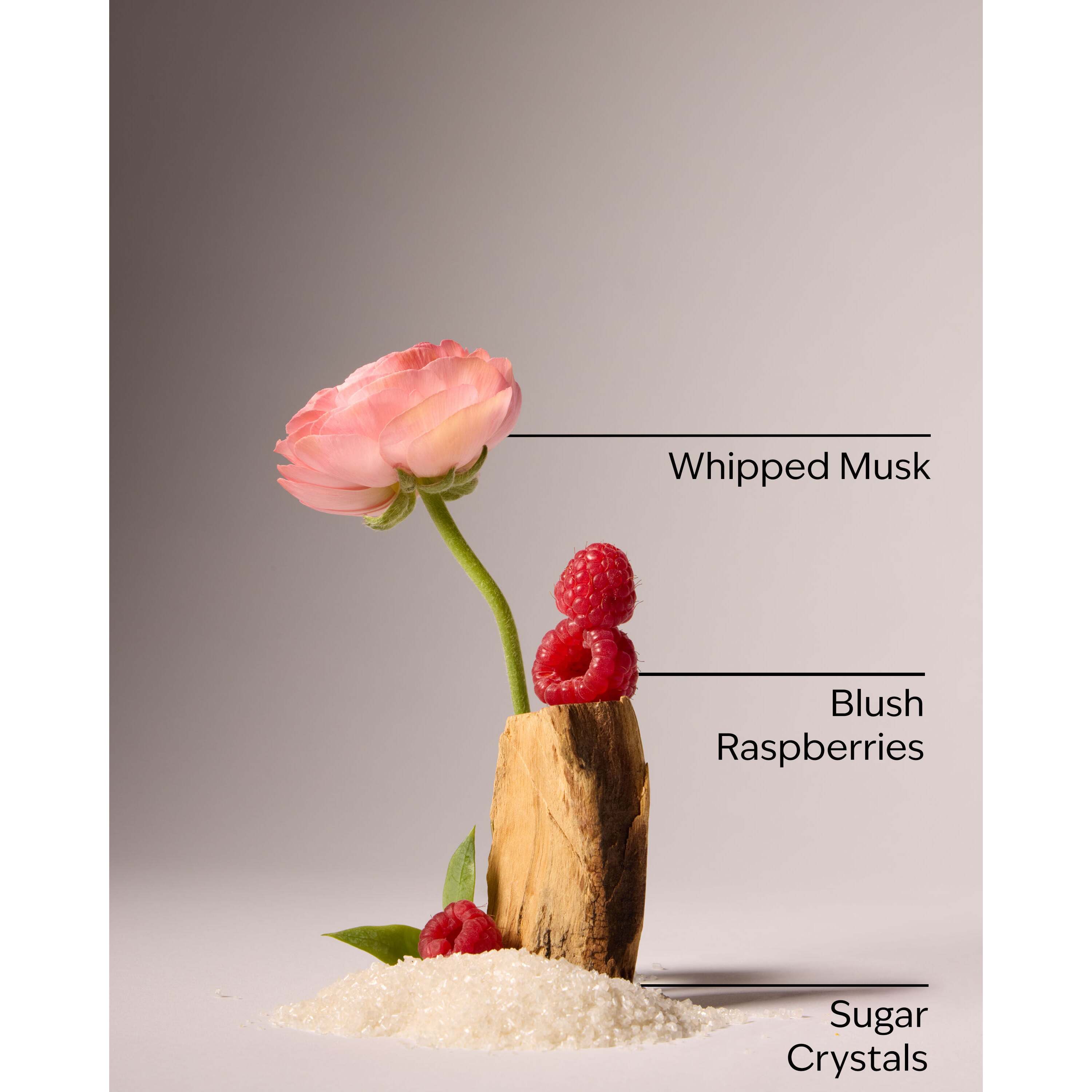 Sweetest Song Ultimate Hydration Body Cream - Image 3