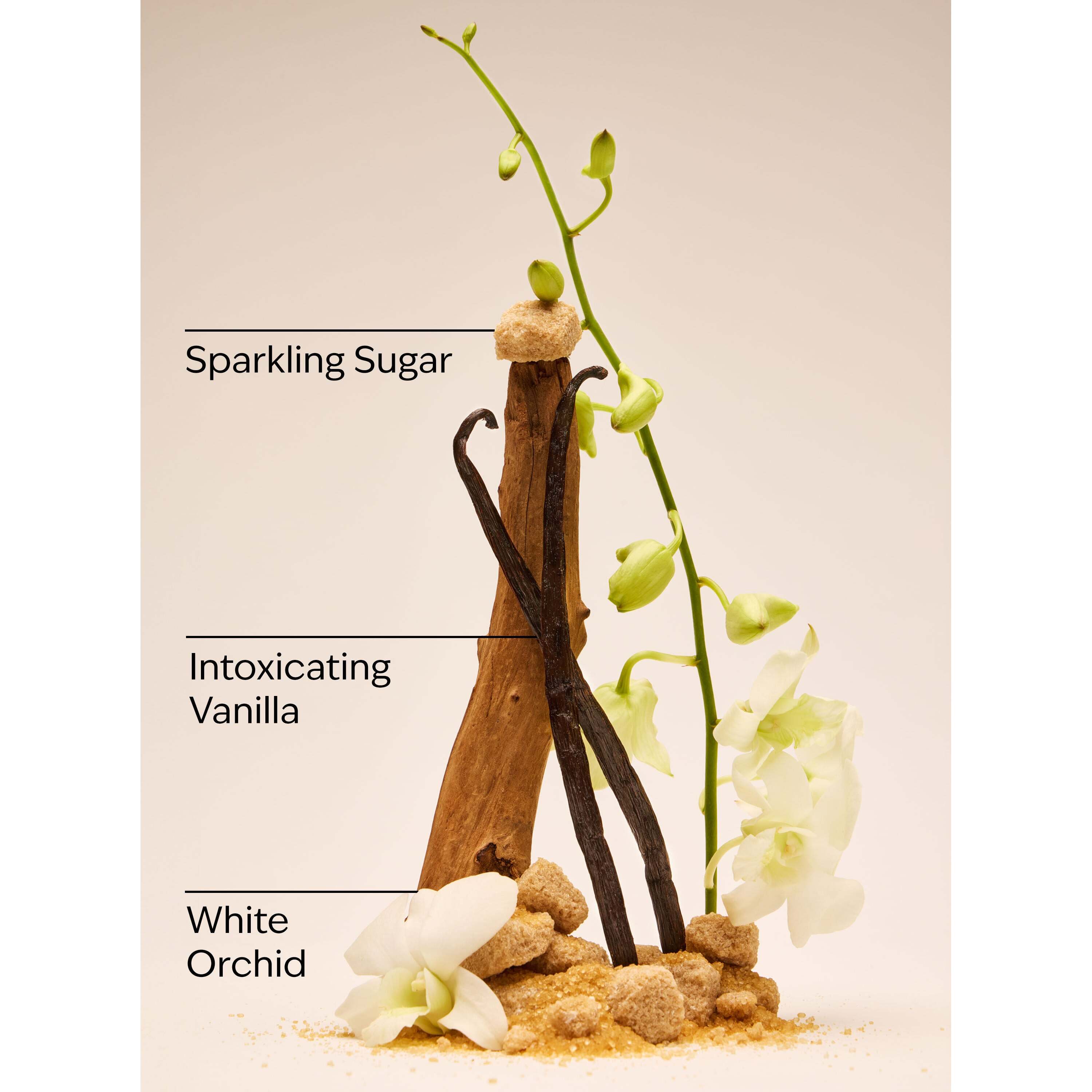 Warm Vanilla Sugar Creamy Body Scrub - Image 3