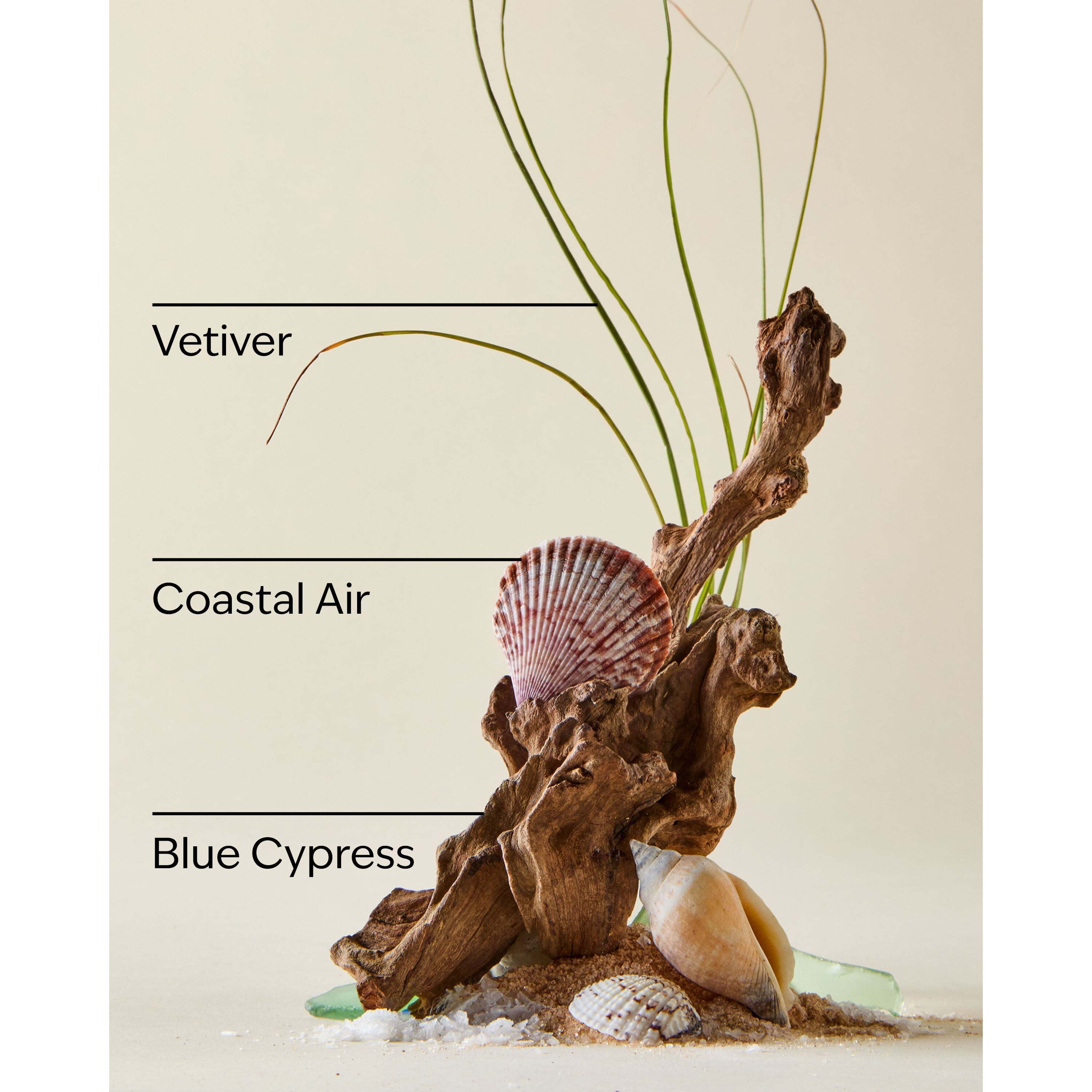 Ocean Mini Cologne - Image 3