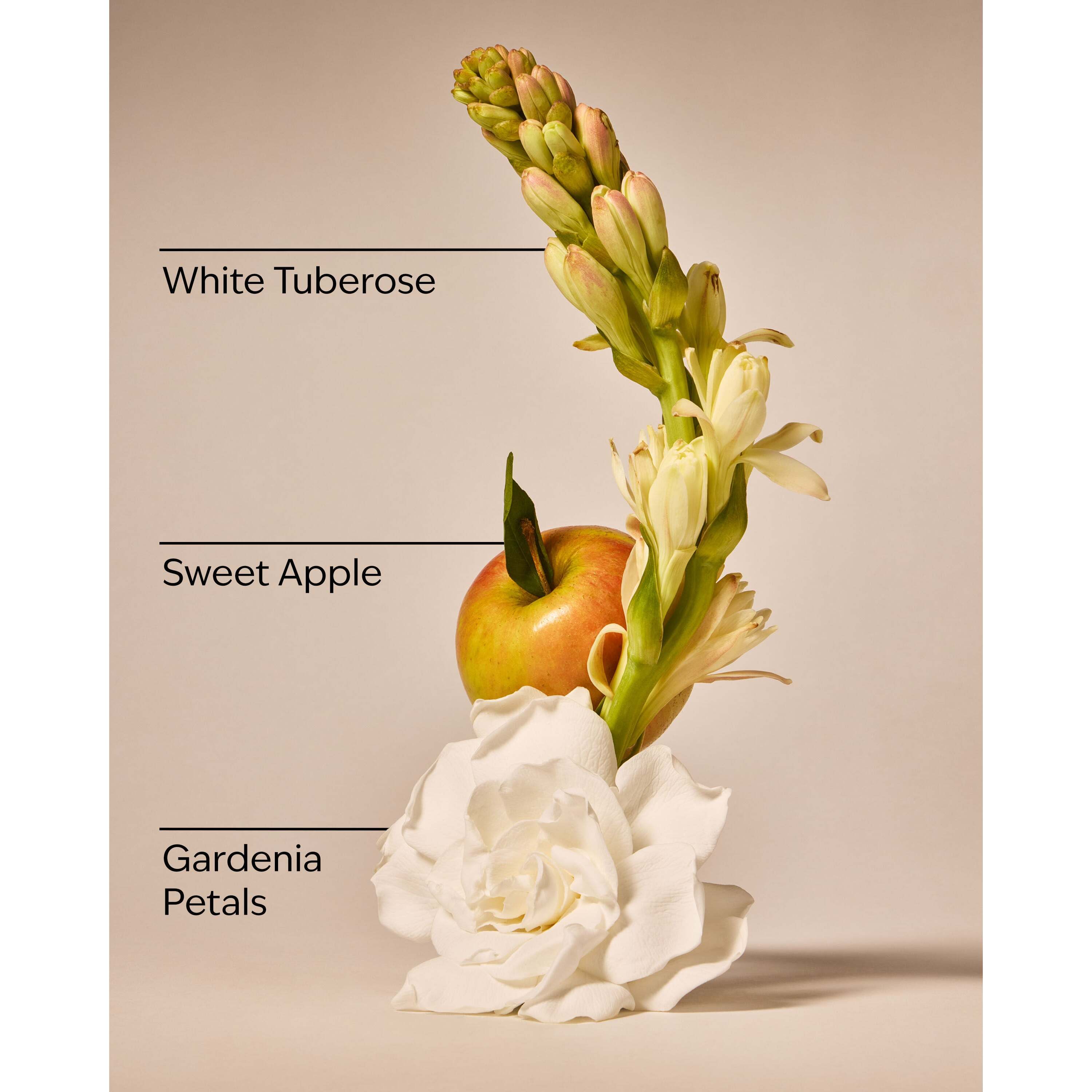 White Gardenia Wallflowers Fragrance Refill - Image 3