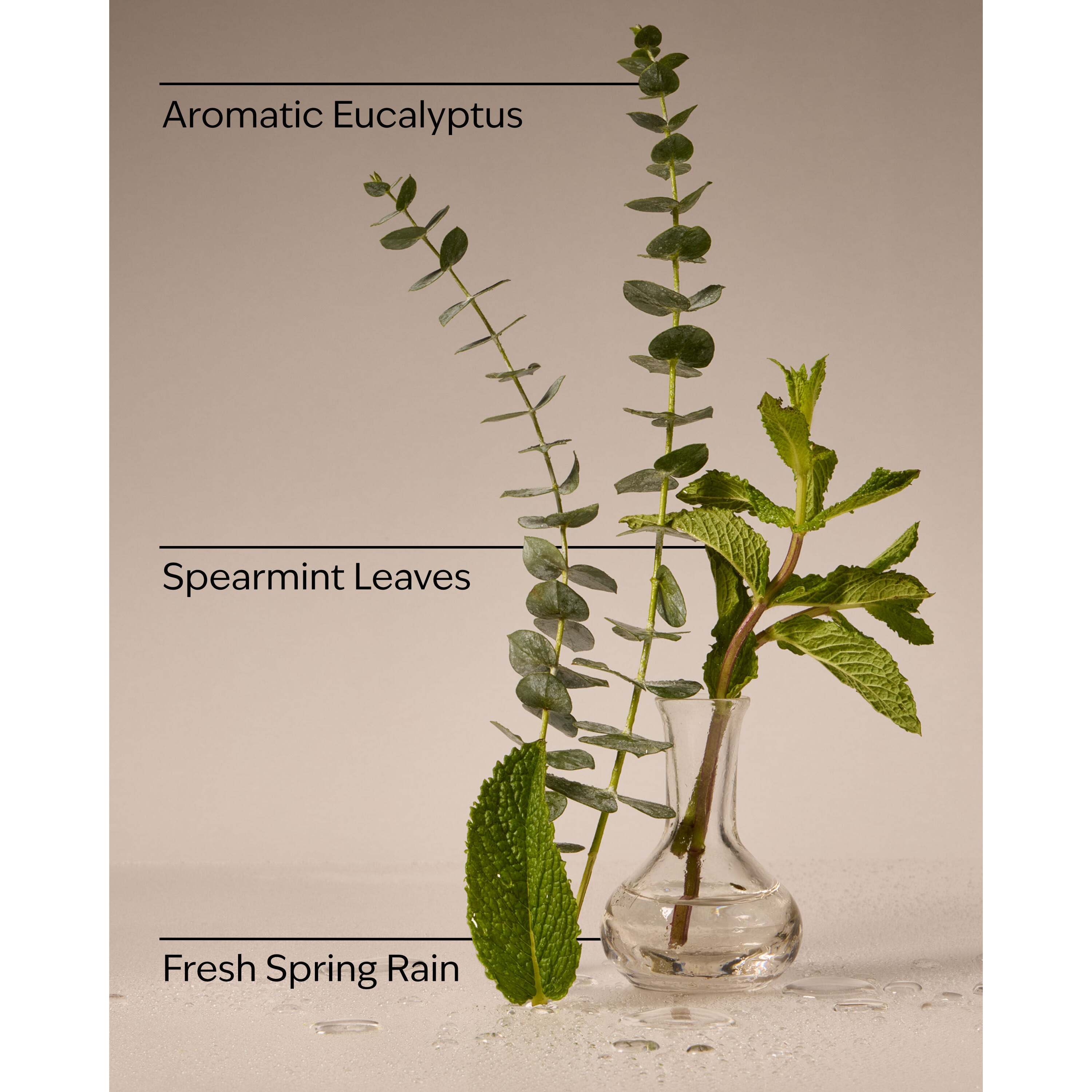 Eucalyptus Rain Wallflowers Fragrance Refill - Image 3