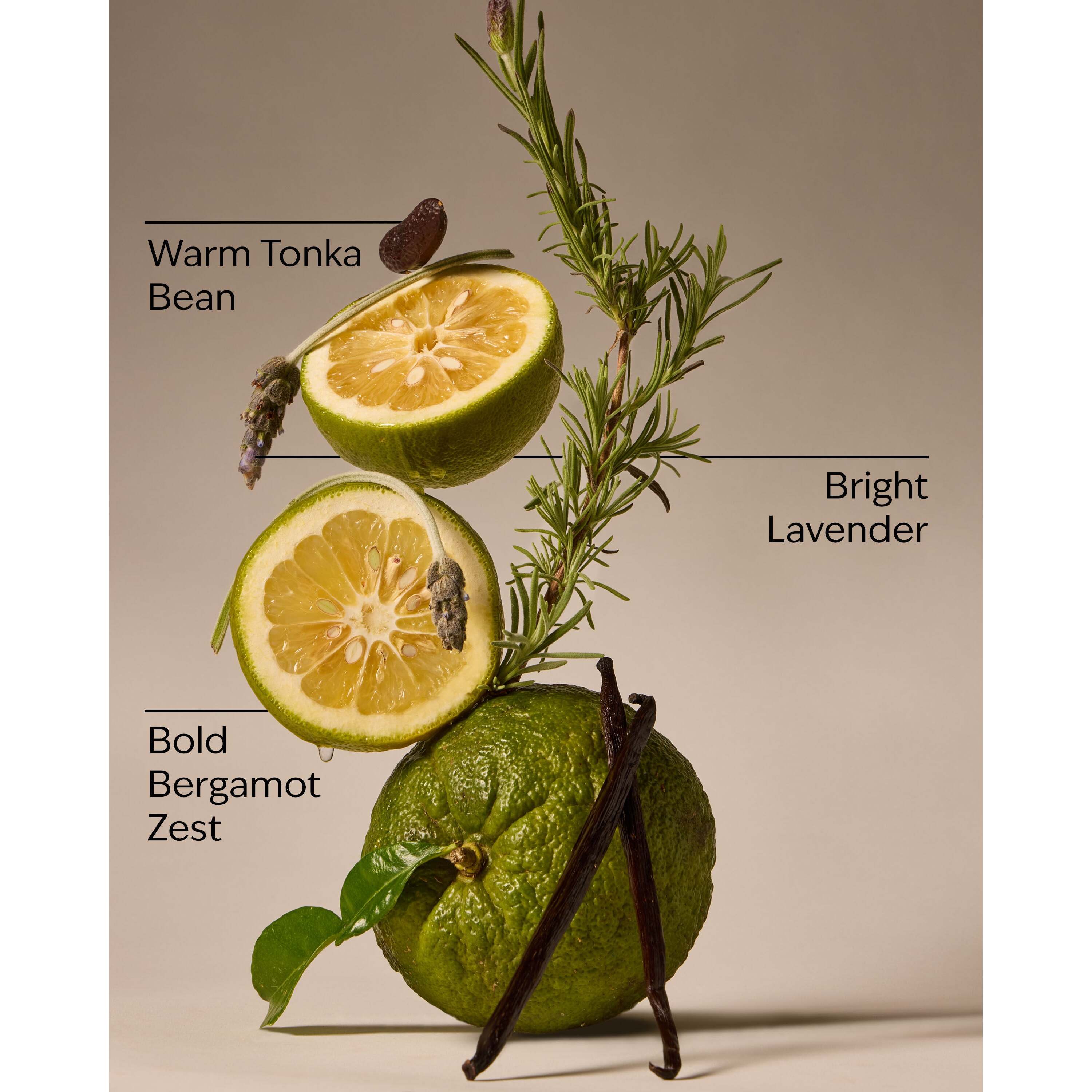 Lavender Bergamot 3-Wick Candle - Image 3