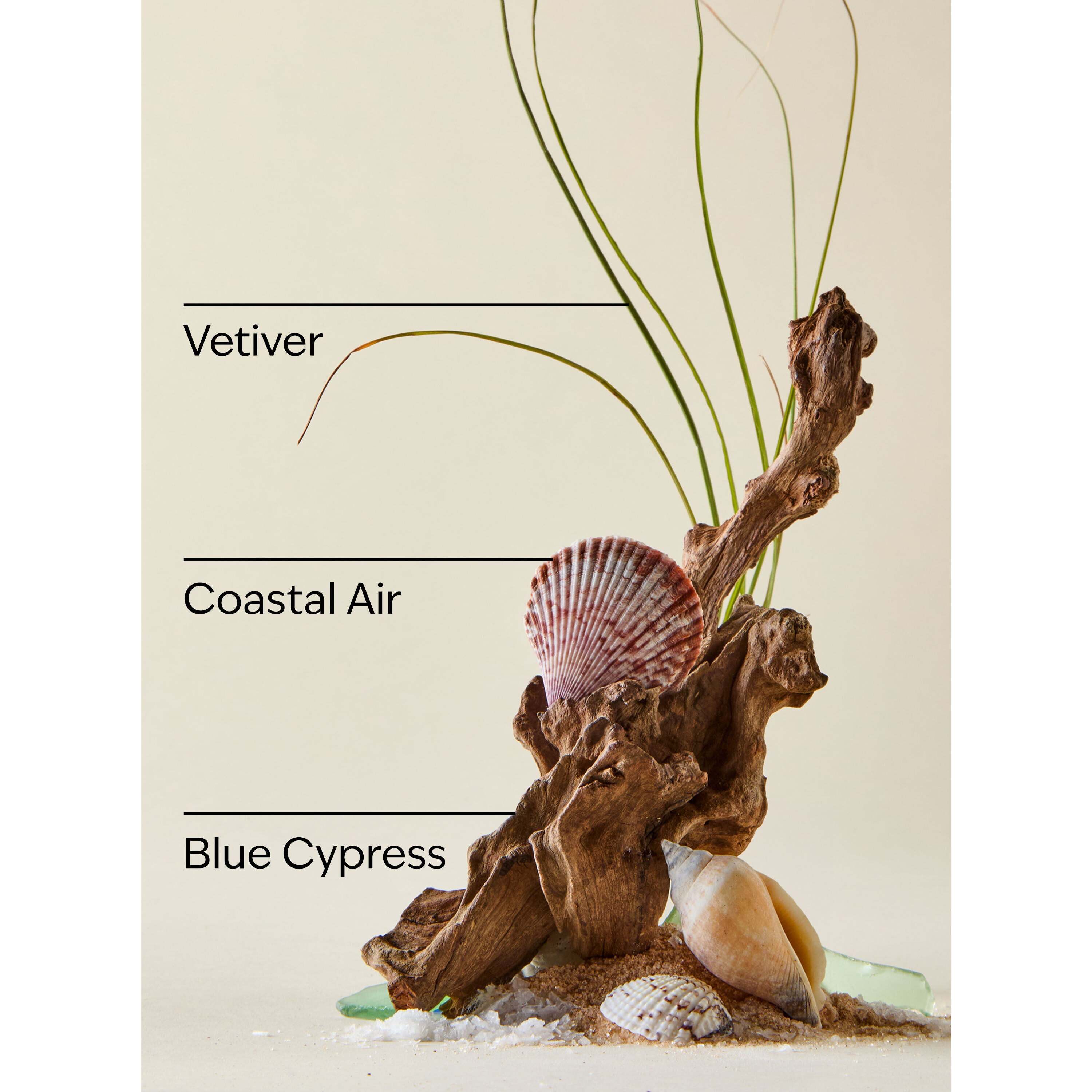 Ocean Wallflowers Refills 2-Pack - Image 3