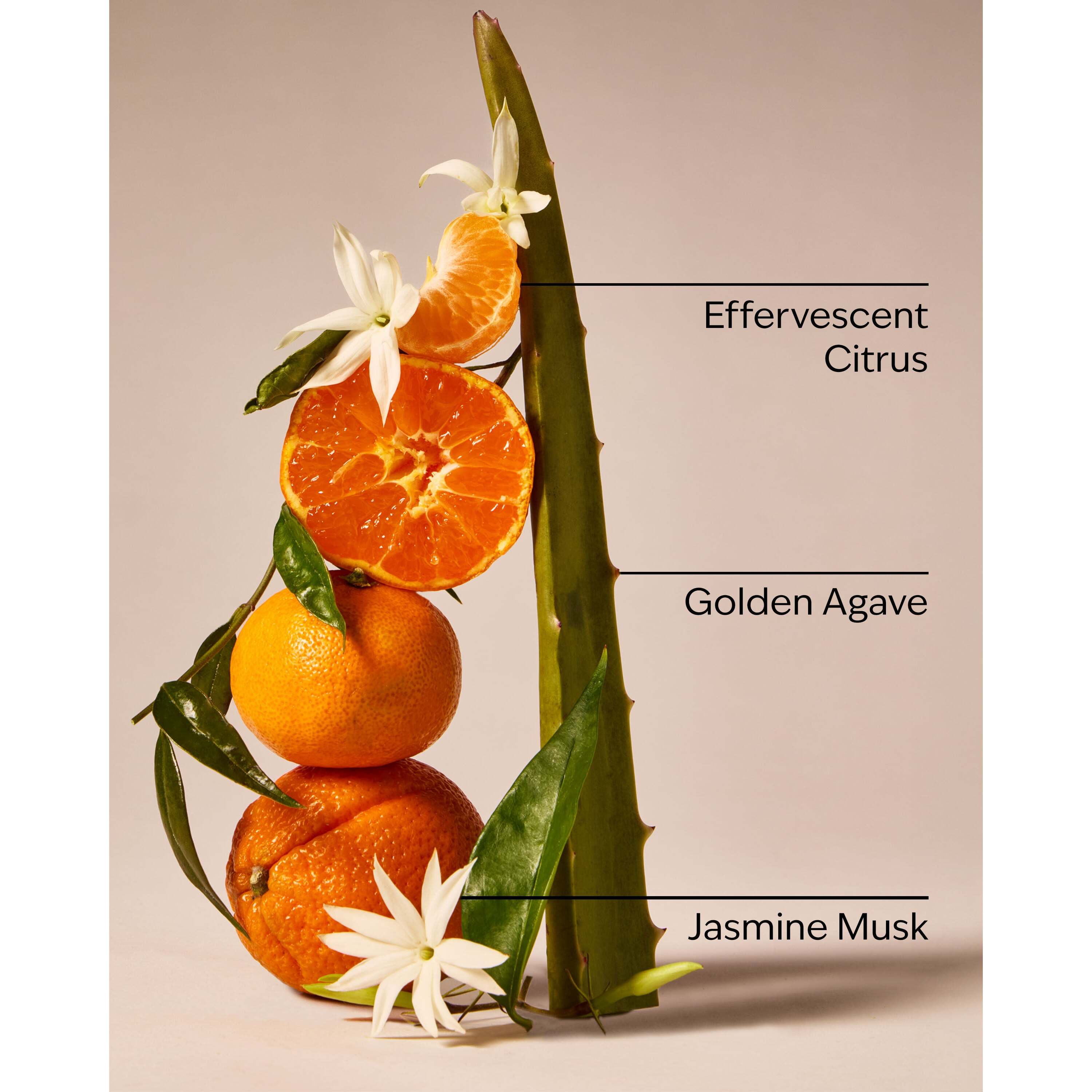 Sweet Orange & Agave Car Fragrance Refill - Image 3