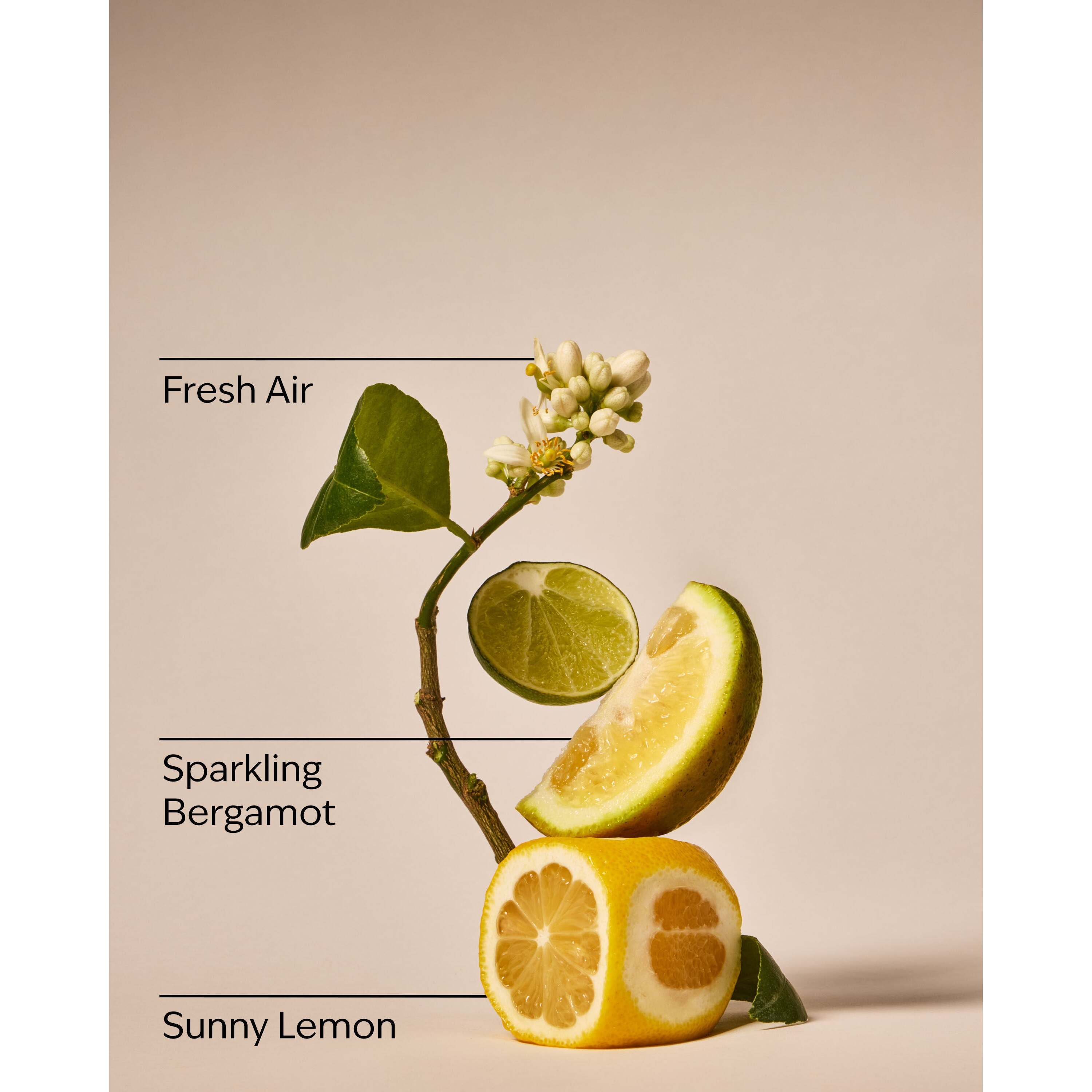 Clean House Vibes - Dazzling Citrus Wallflowers Fragrance Refill - Image 3