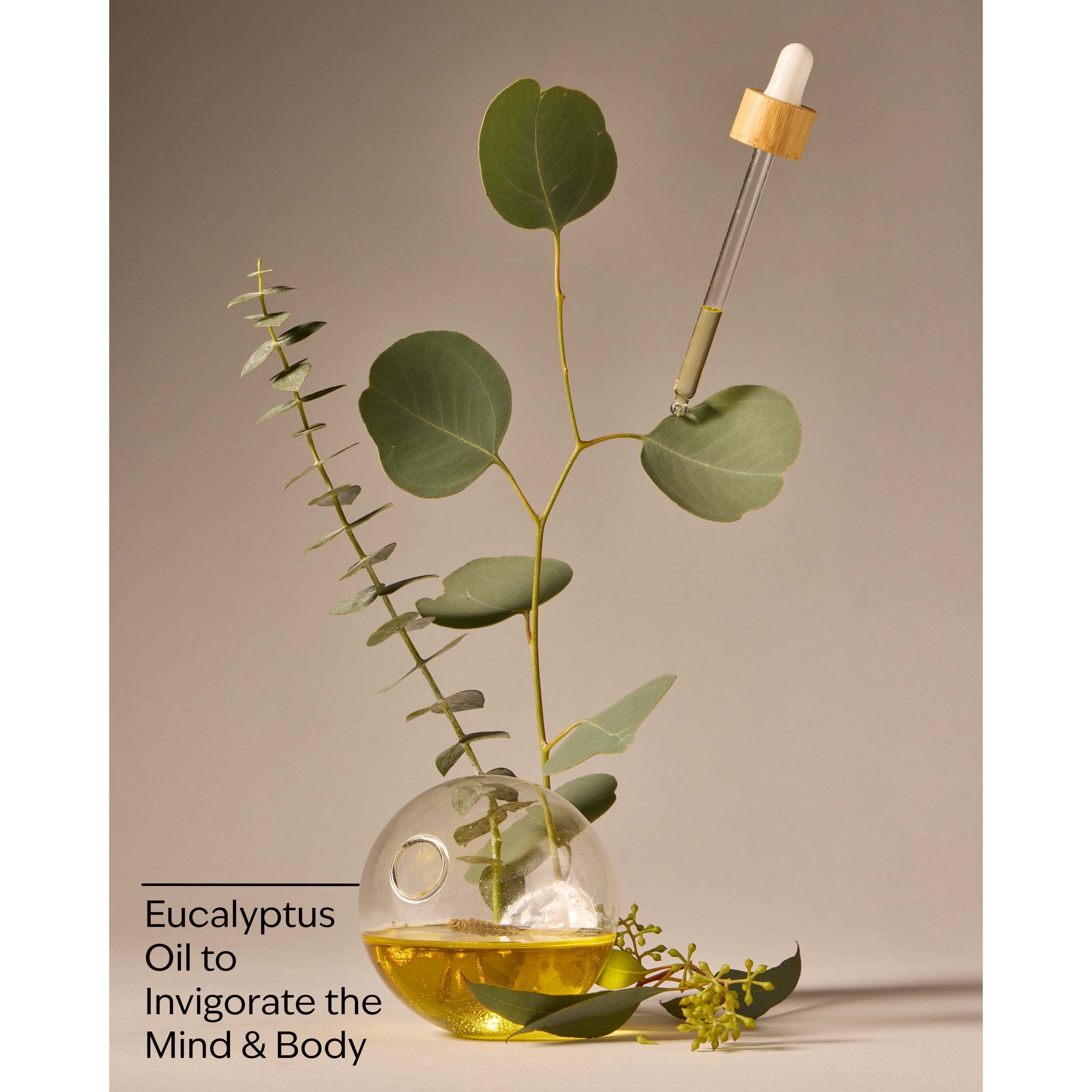 Eucalyptus Essential Oil Mist - Image 3