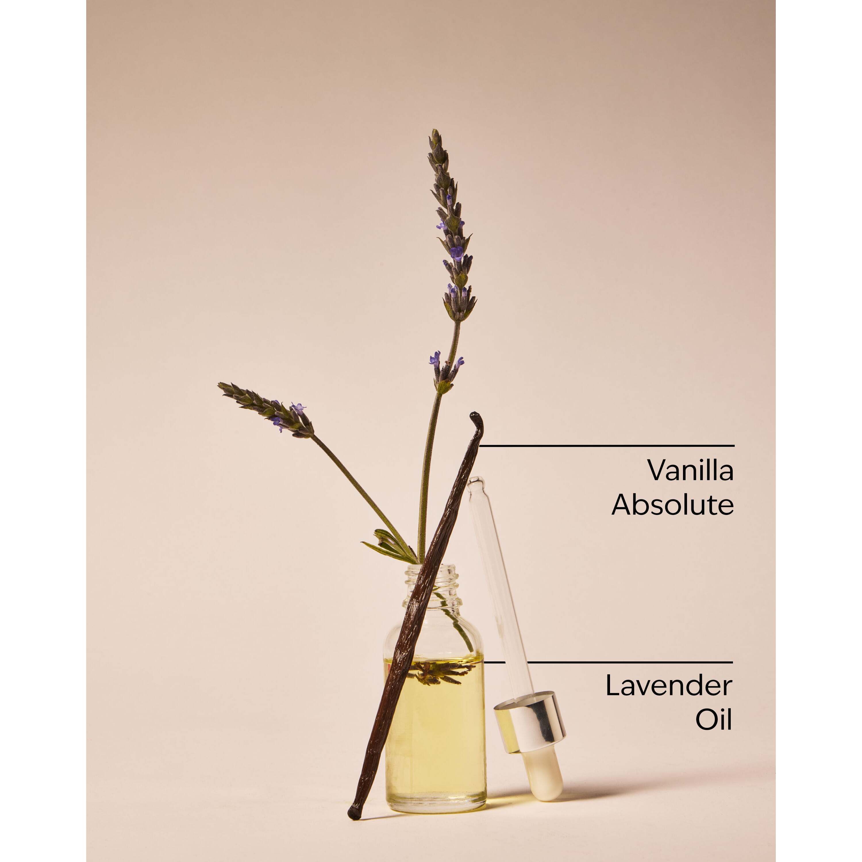Lavender Vanilla Ultimate Hydration Body Cream - Image 3