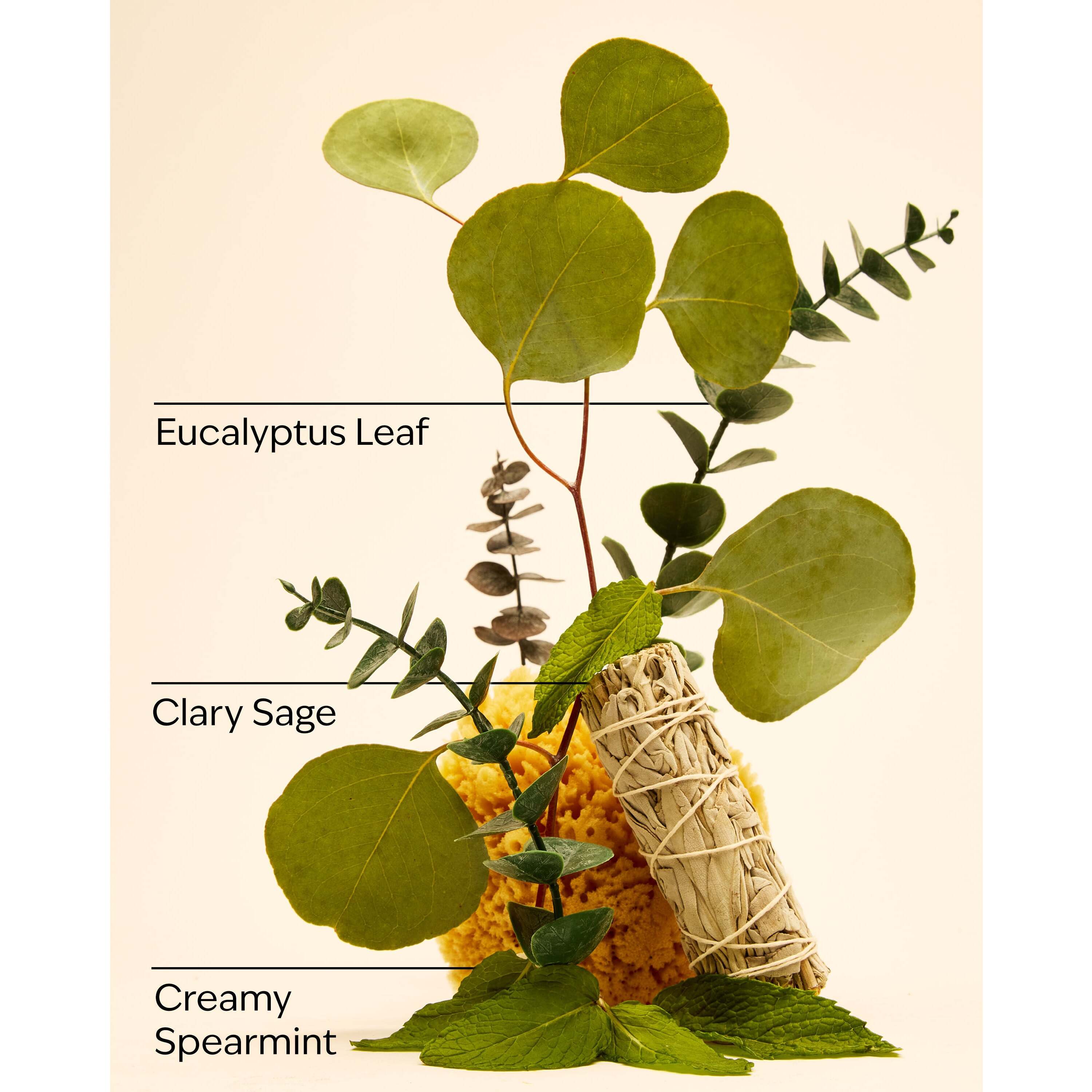 Eucalyptus Spearmint Shower Steamers - Image 3