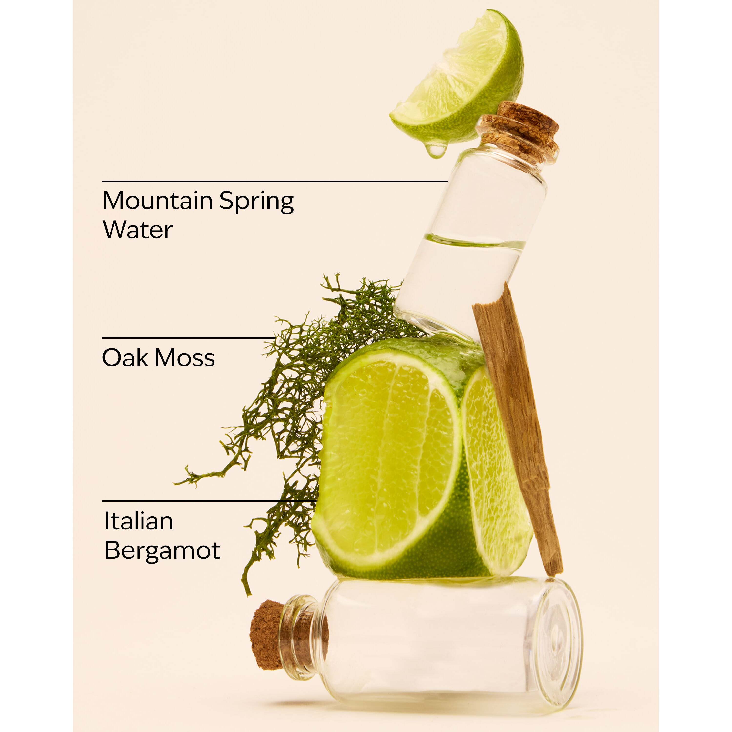 Freshwater Antiperspirant Deodorant - Image 3