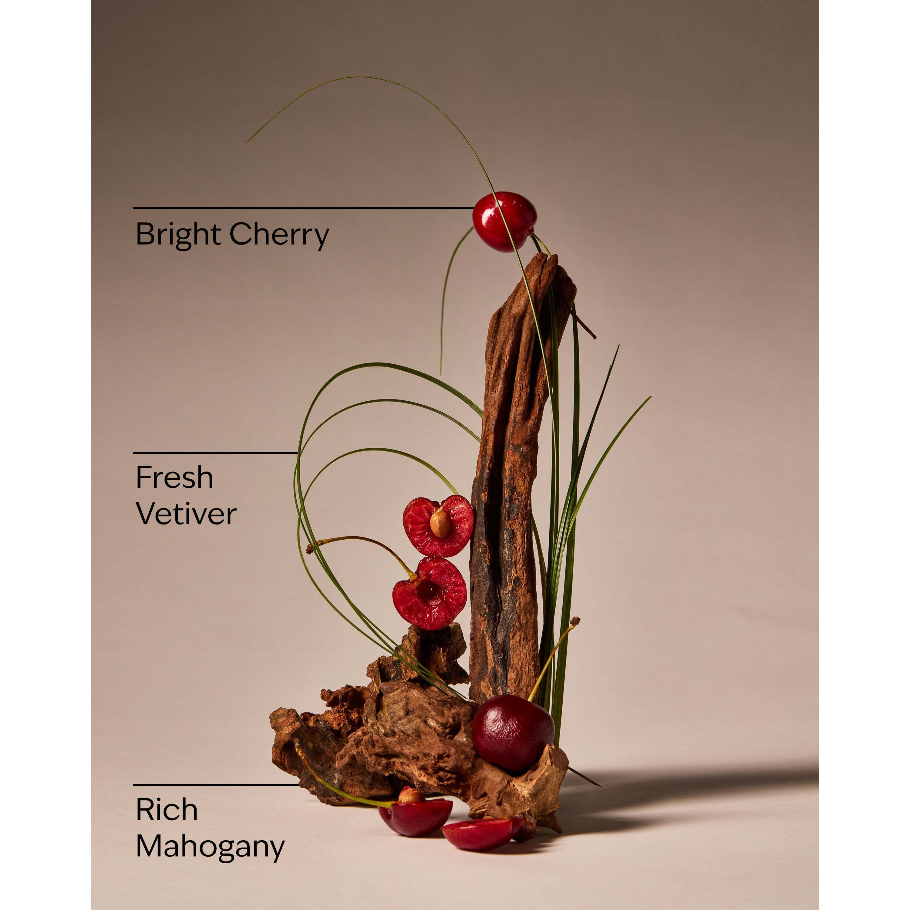 Mahogany Cherry Wallflowers Fragrance Refill - Image 3