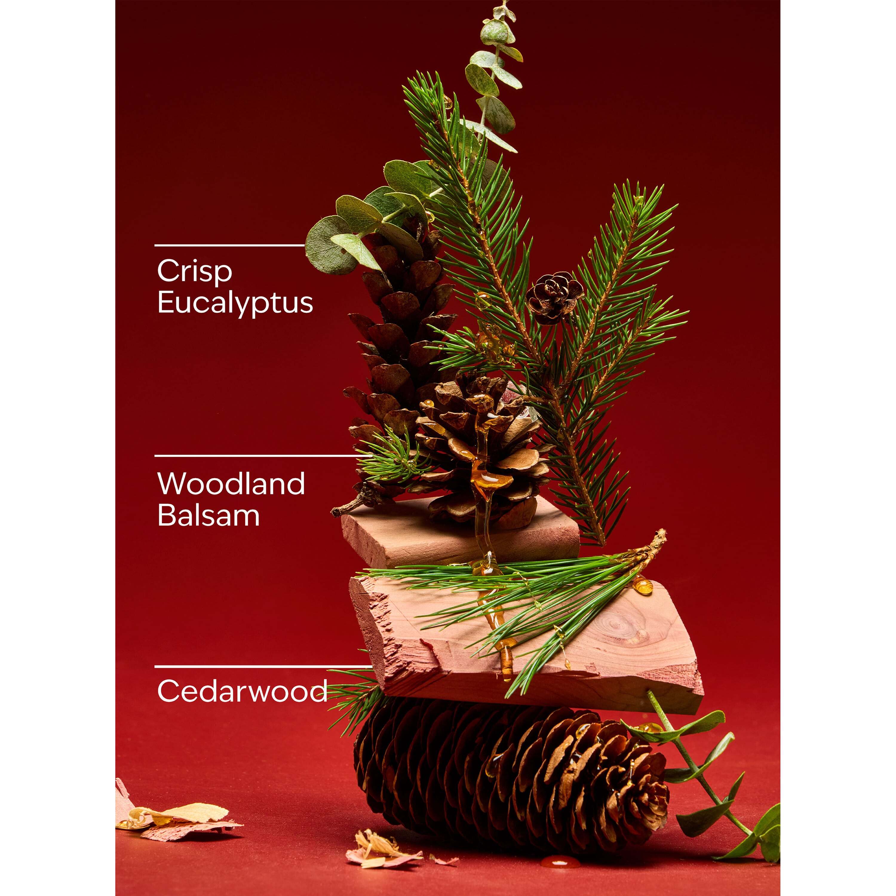 Fresh Balsam 3-Wick Candle - Image 3