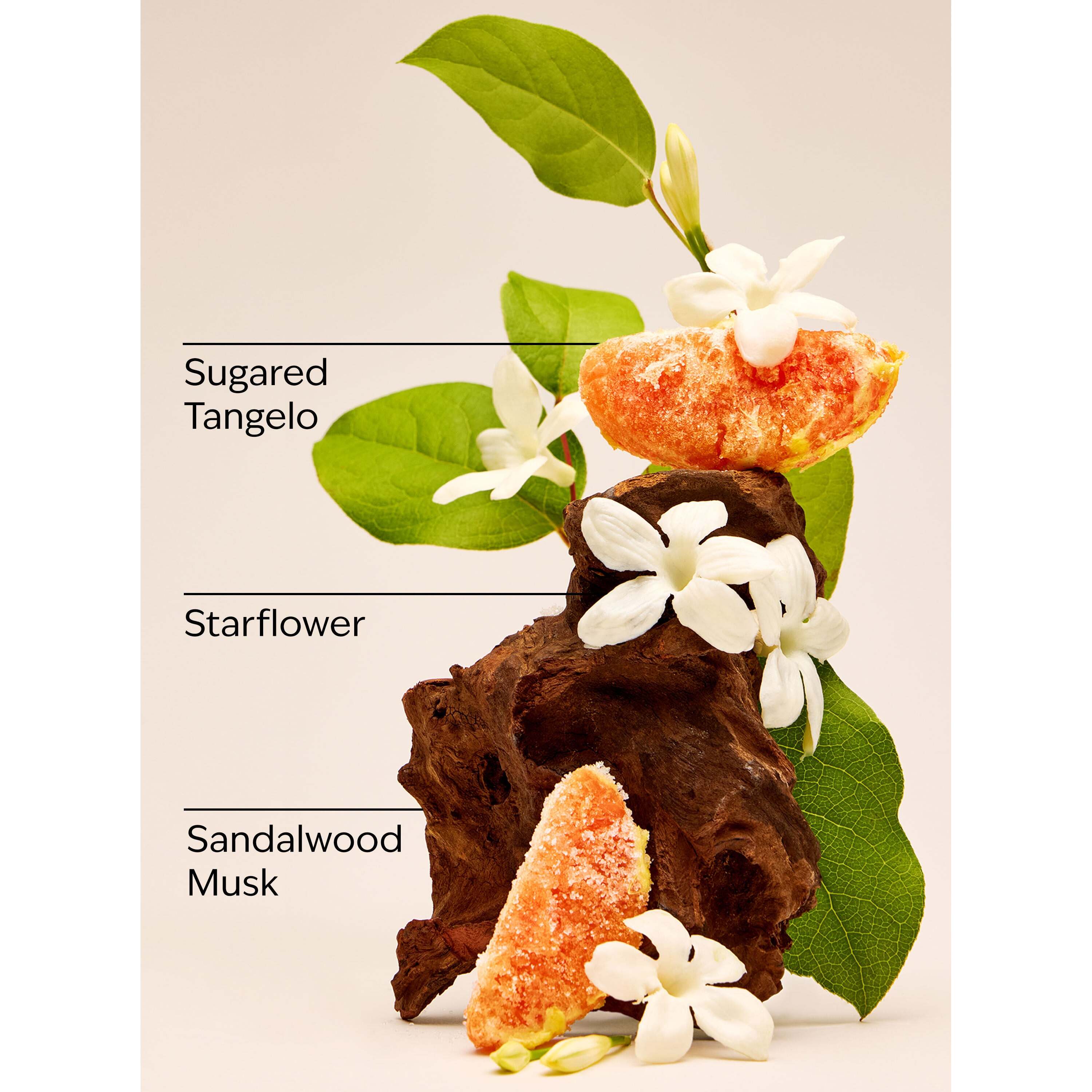 In The Stars Ultimate Hydration Body Cream - Image 3