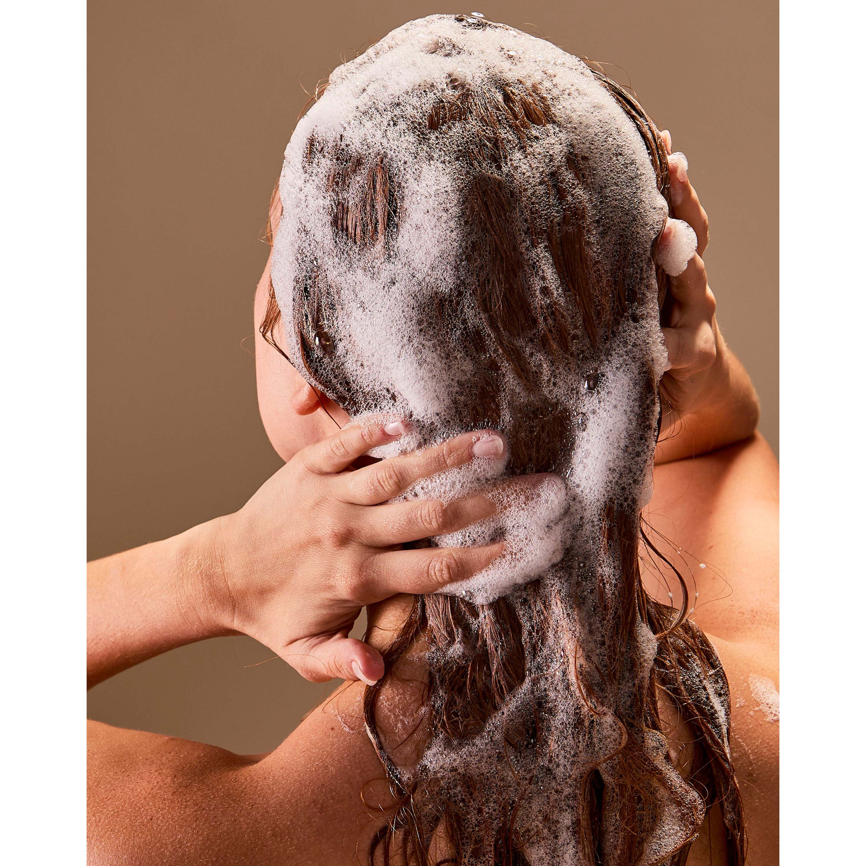 Champagne Toast Shampoo - Image 6