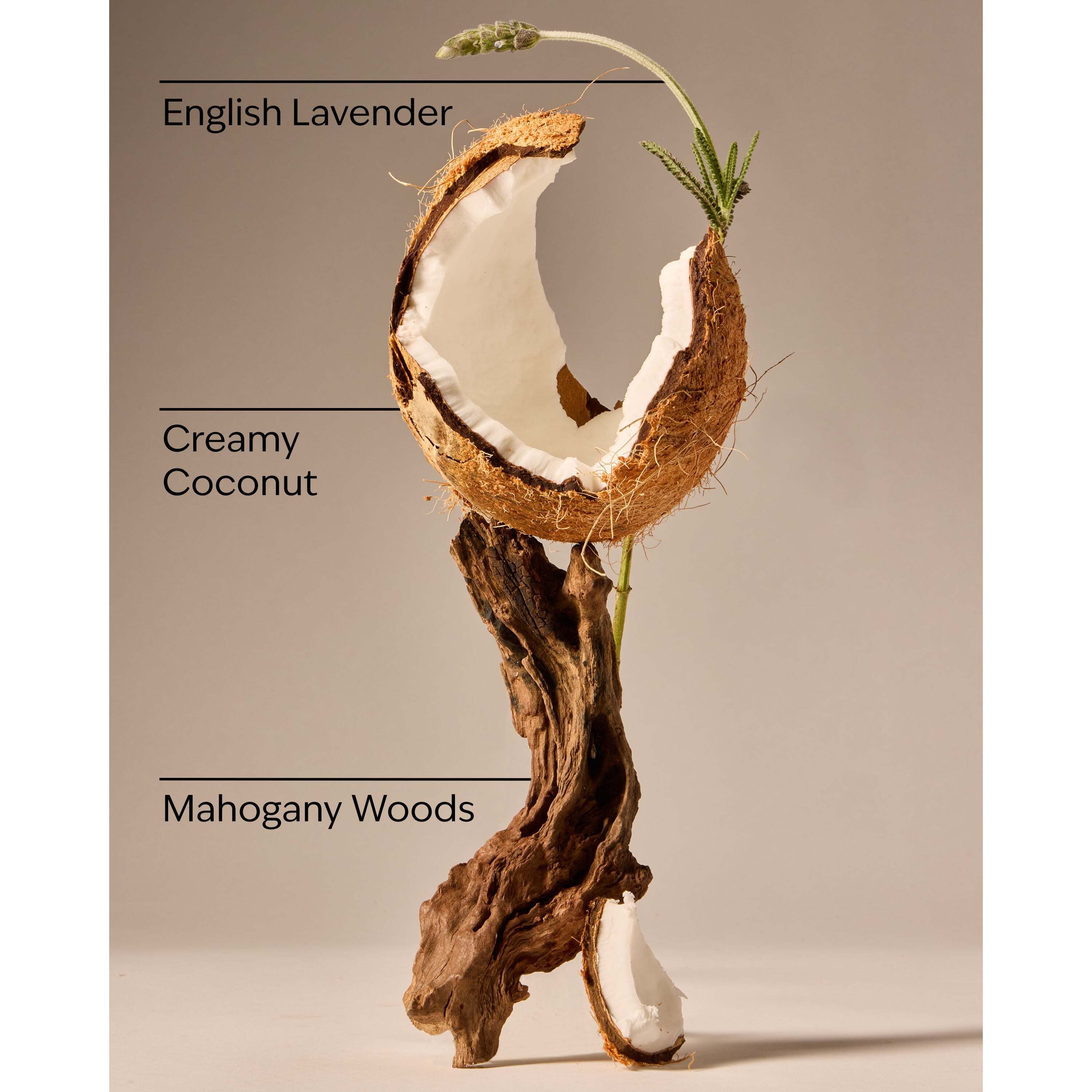 Mahogany Coconut Car Fragrance Refill - Image 3