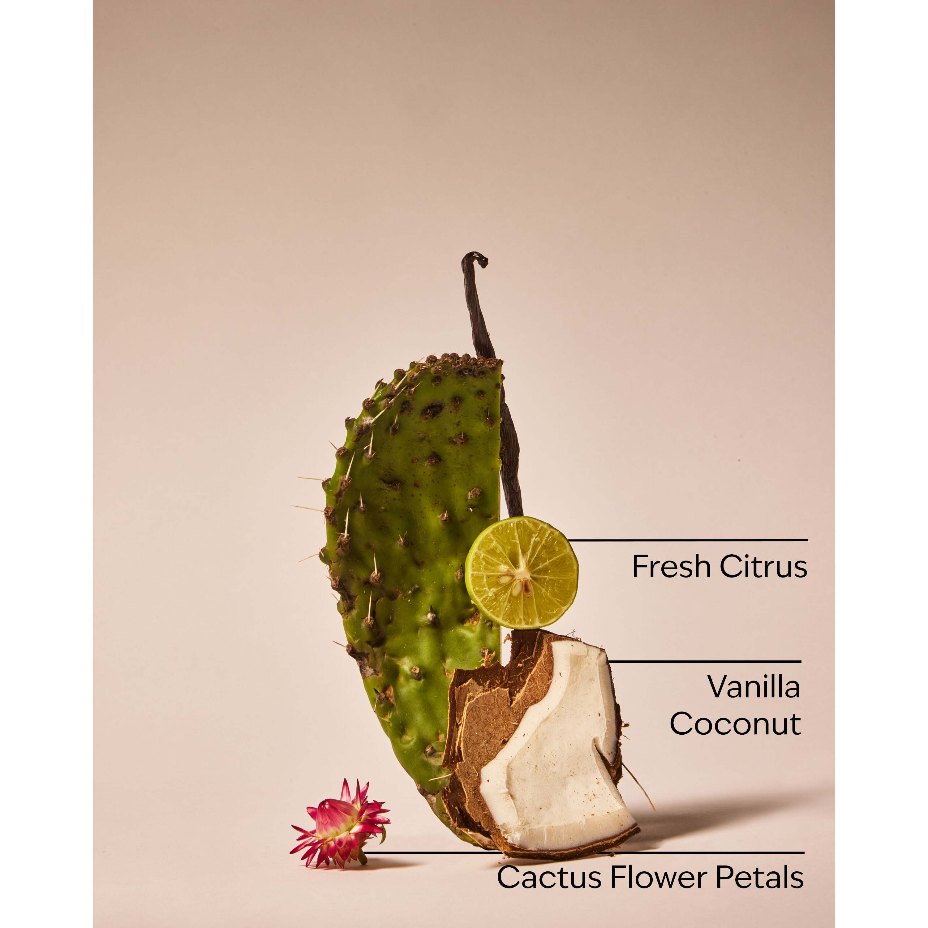 Cactus Blossom Dryer Sheets - Image 3