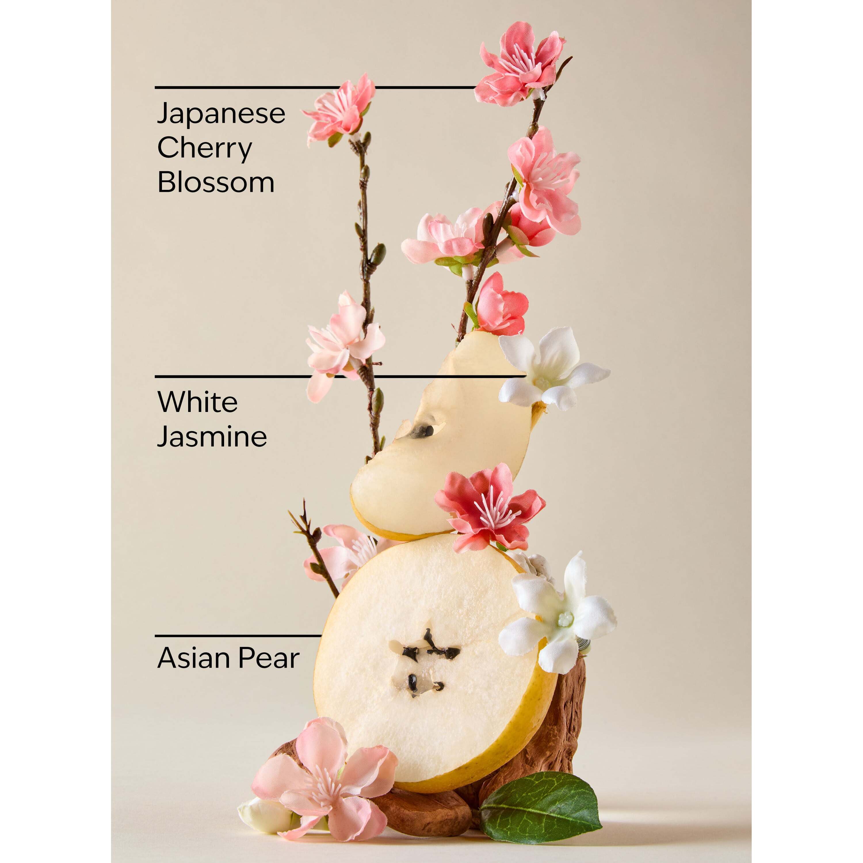 Japanese Cherry Blossom 3-Wick Candle - Image 3