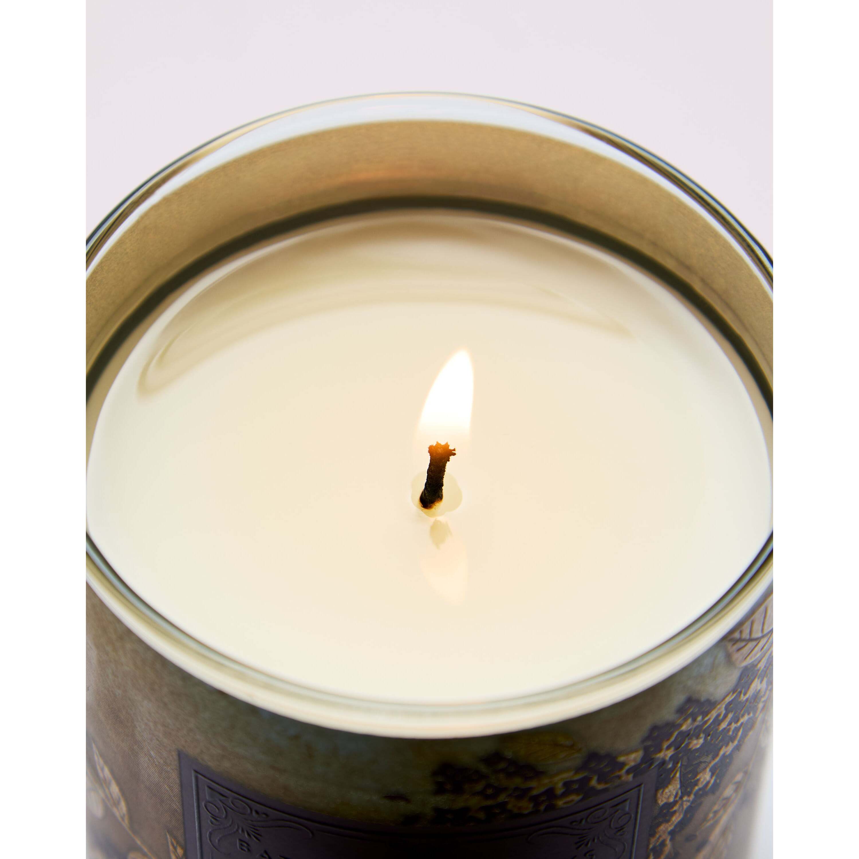 Fresh Cut Lilacs Single Wick Candle - Image 4