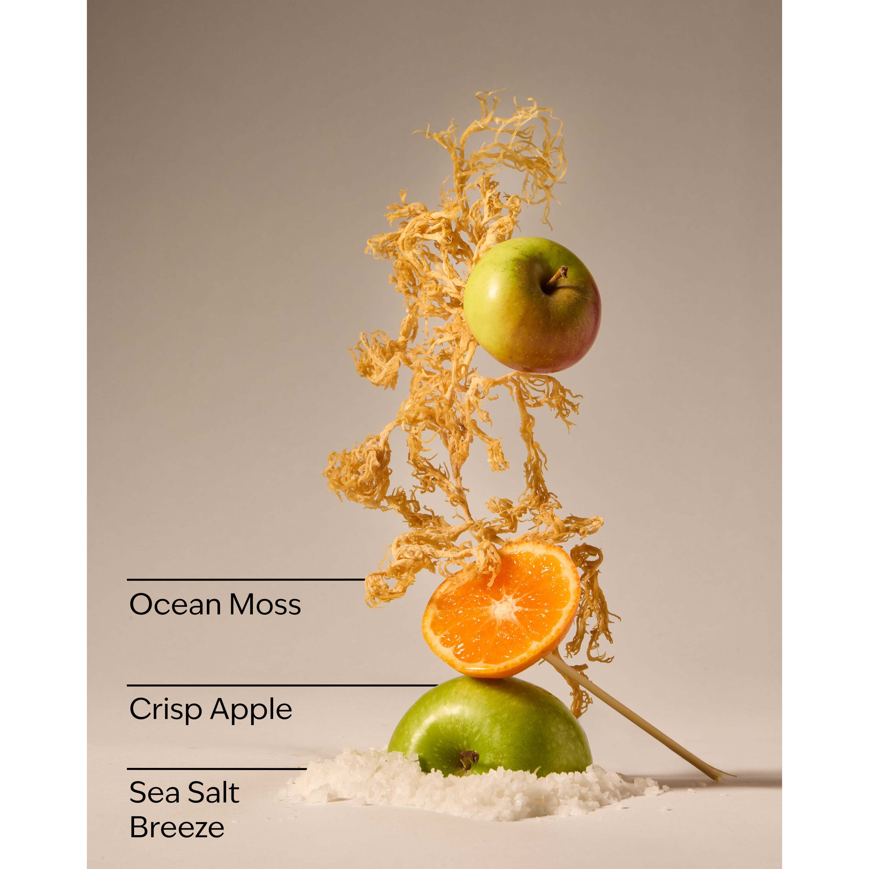 Marine Waves & Citrus Gentle & Clean Foaming Hand Soap - Image 3