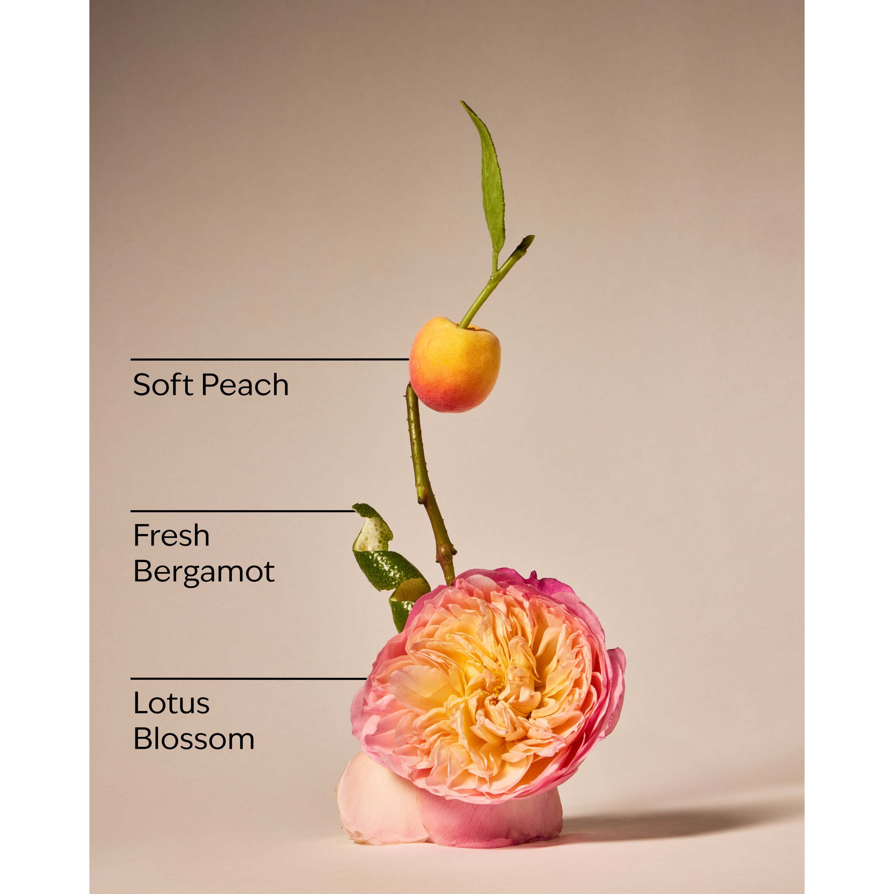 Springtime In Paris 3-Wick Candle - Image 3