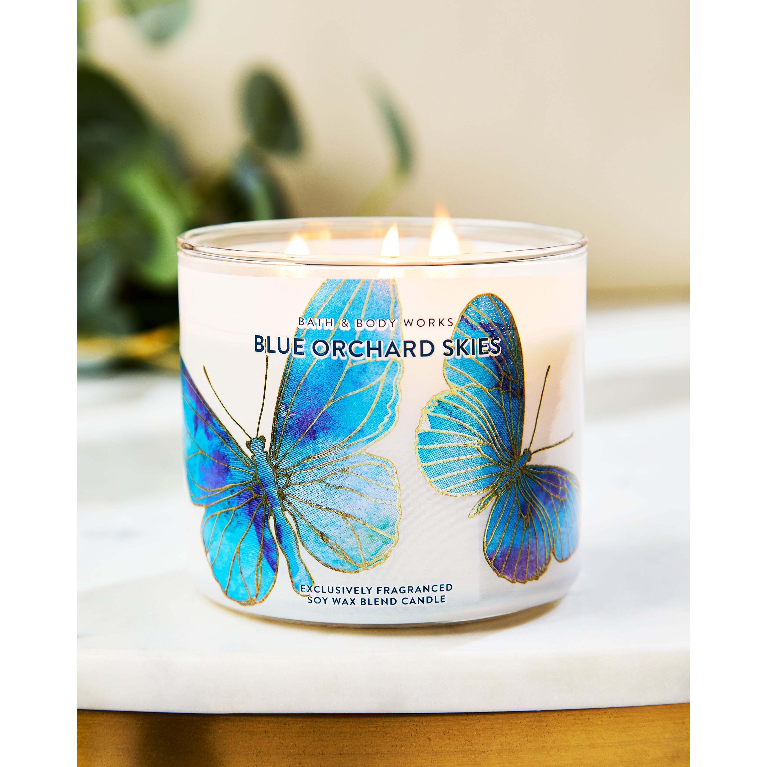 Blue Orchard Skies 3-Wick Candle - Image 6