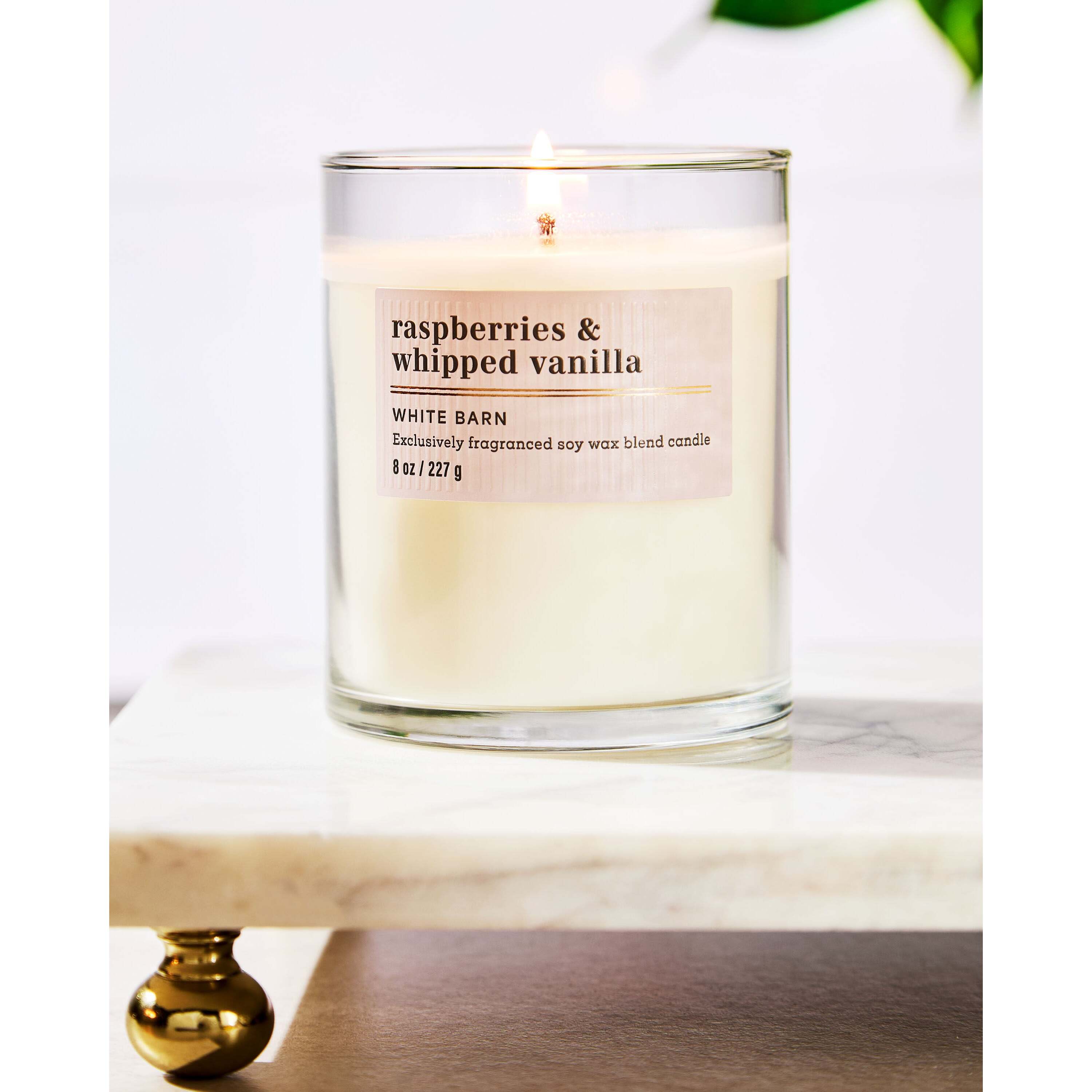 Raspberries & Whipped Vanilla Single Wick Candle - Image 6