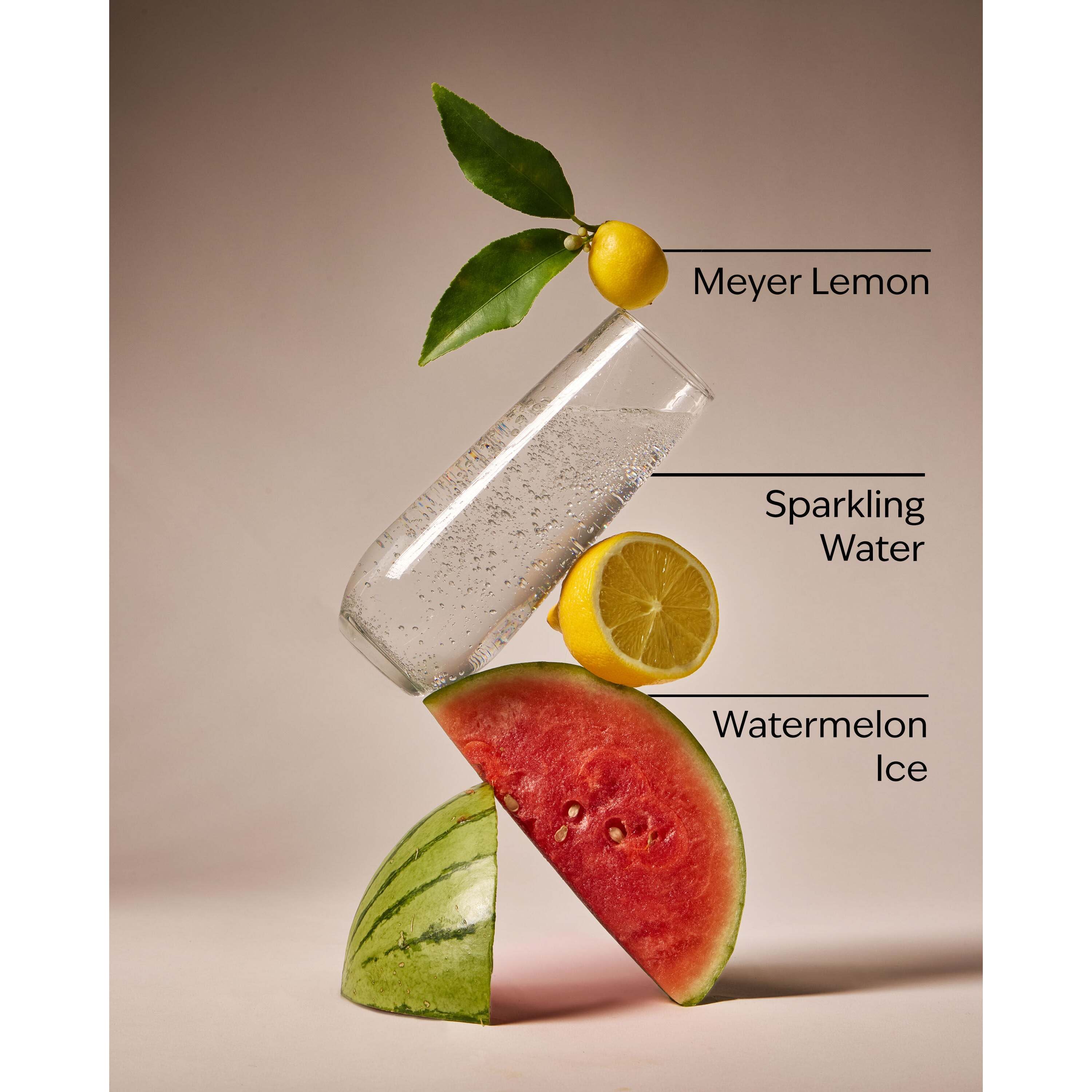 Watermelon Lemonade Pocketbac Hand Sanitizer - Image 3