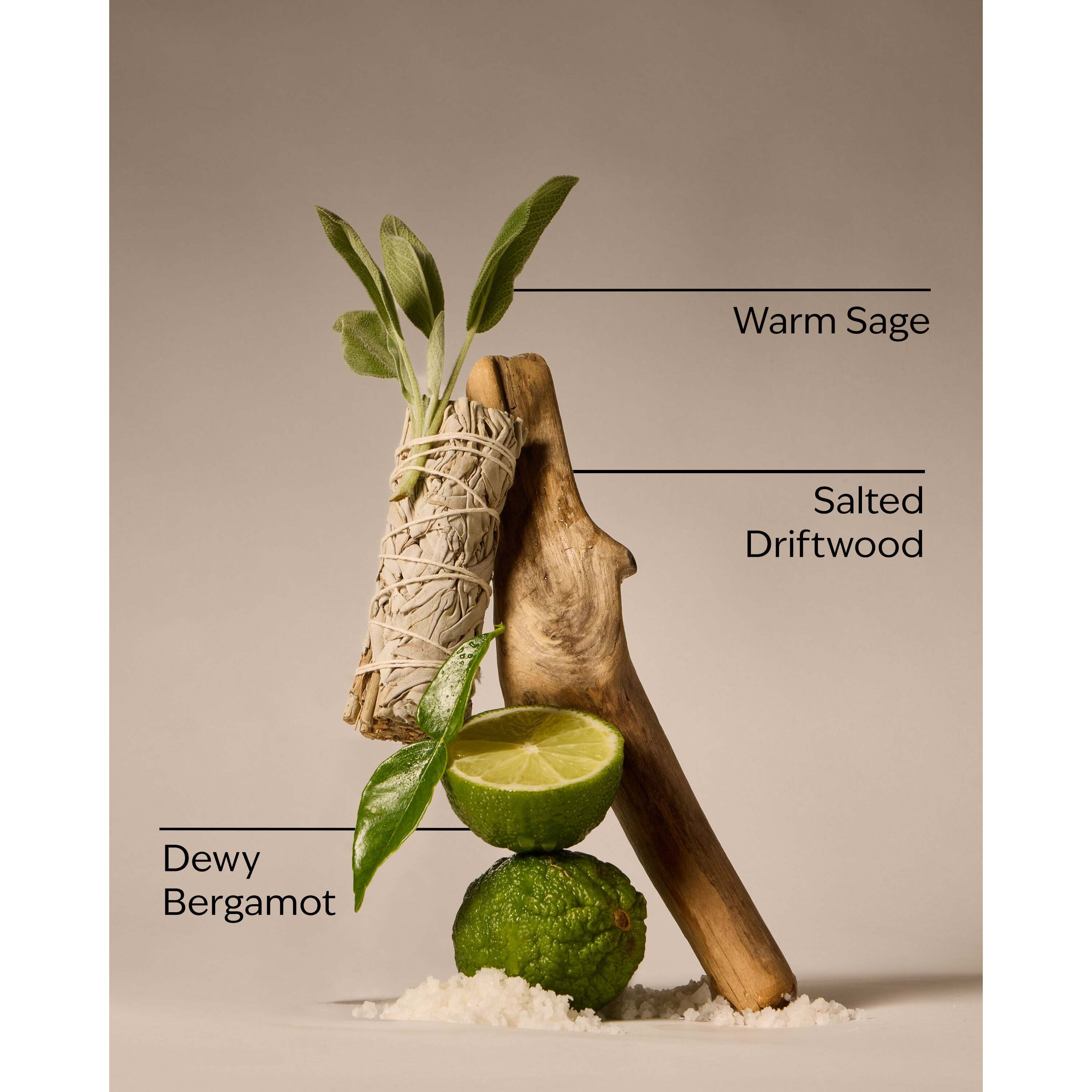 Salted Shorelines Fine Fragrance Mist - Image 3