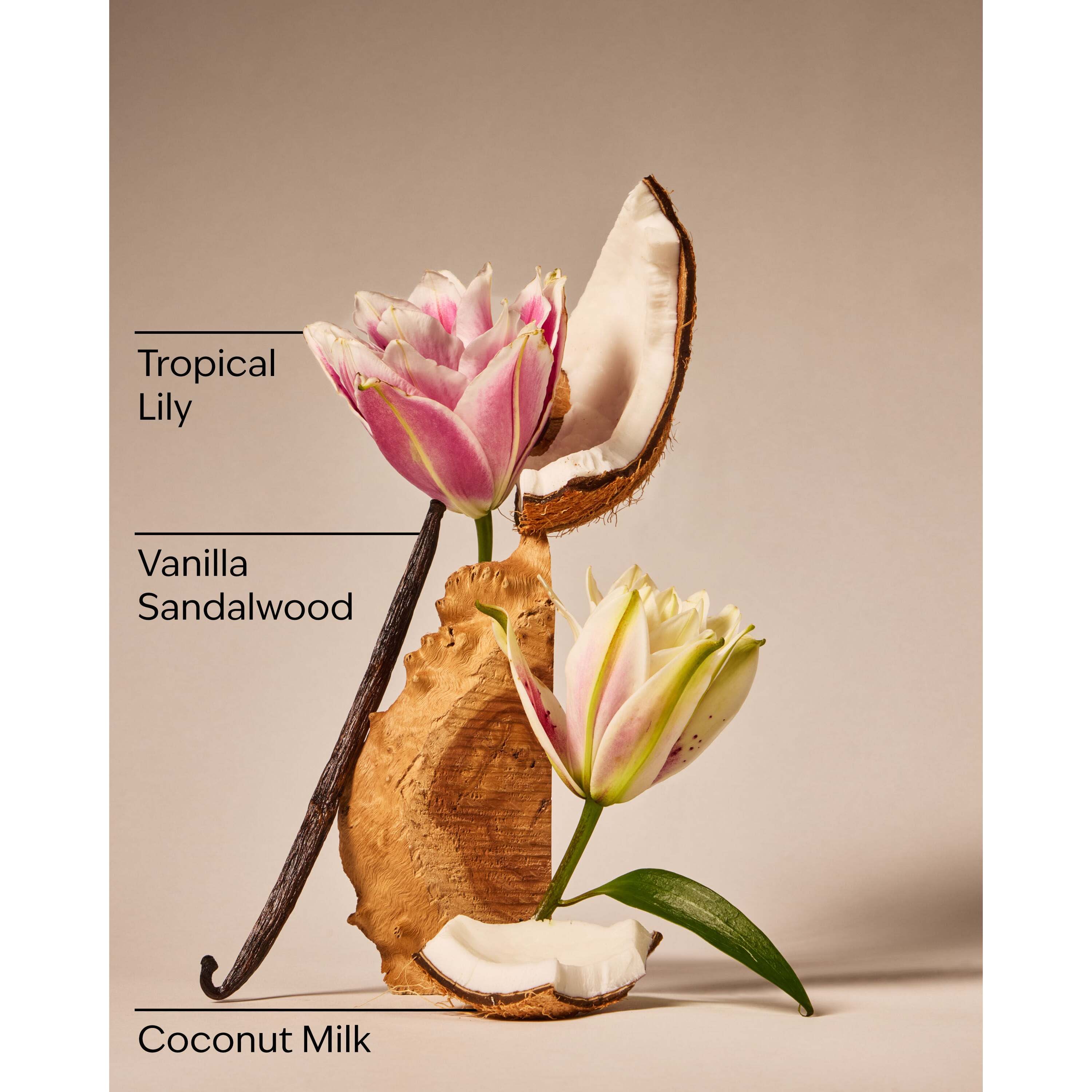Eau De Coconut Fine Fragrance Mist - Image 3