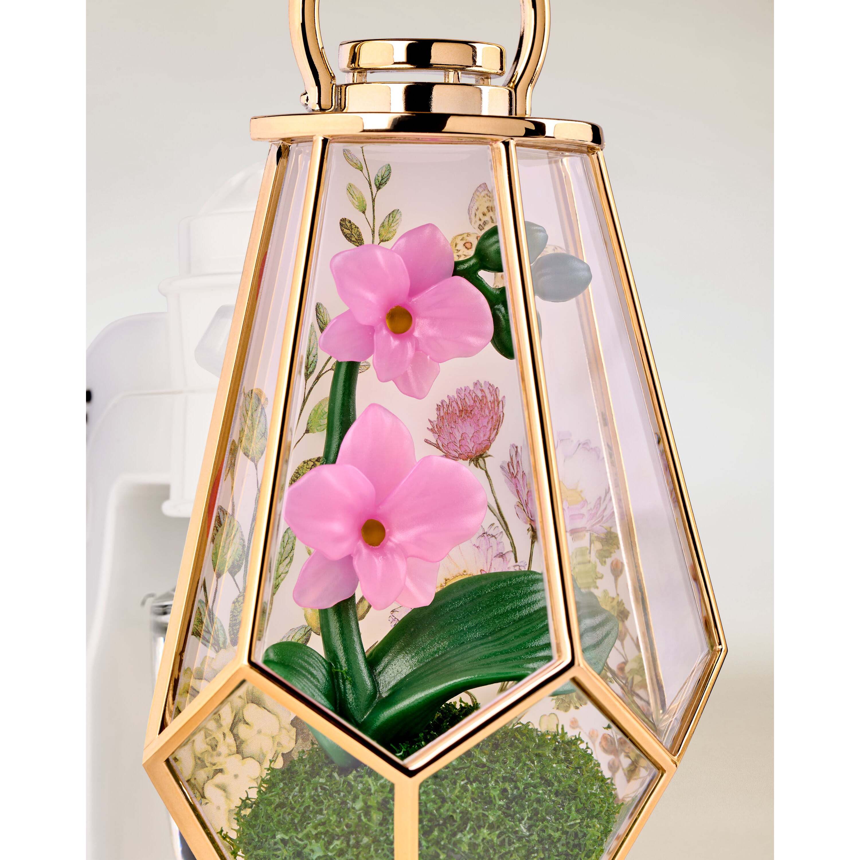 Orchid Terrarium Scent Control Nightlight Wallflowers Fragrance Plug - Image 3