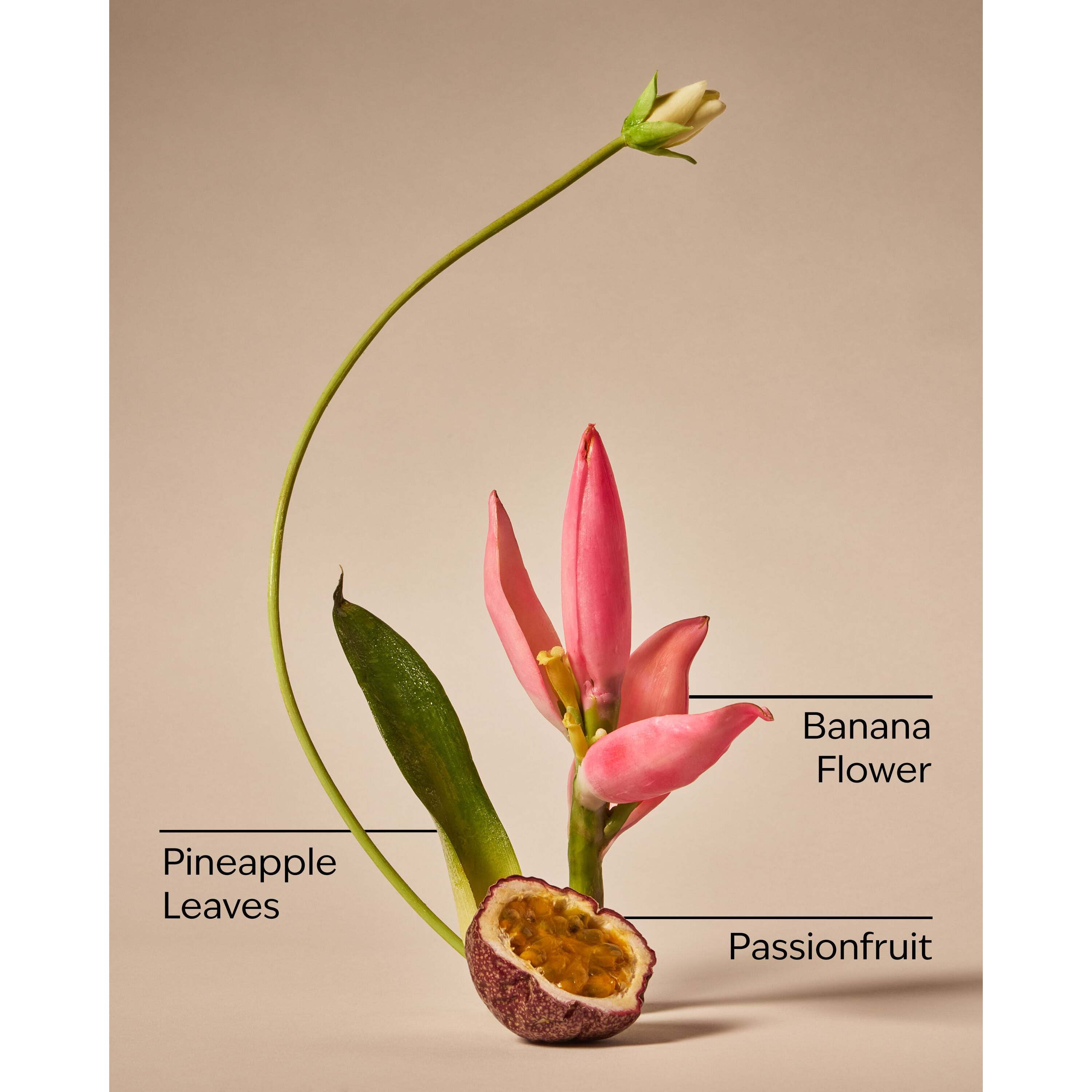 Bahamas Passionfruit & Banana Flower Body Wash - Image 3