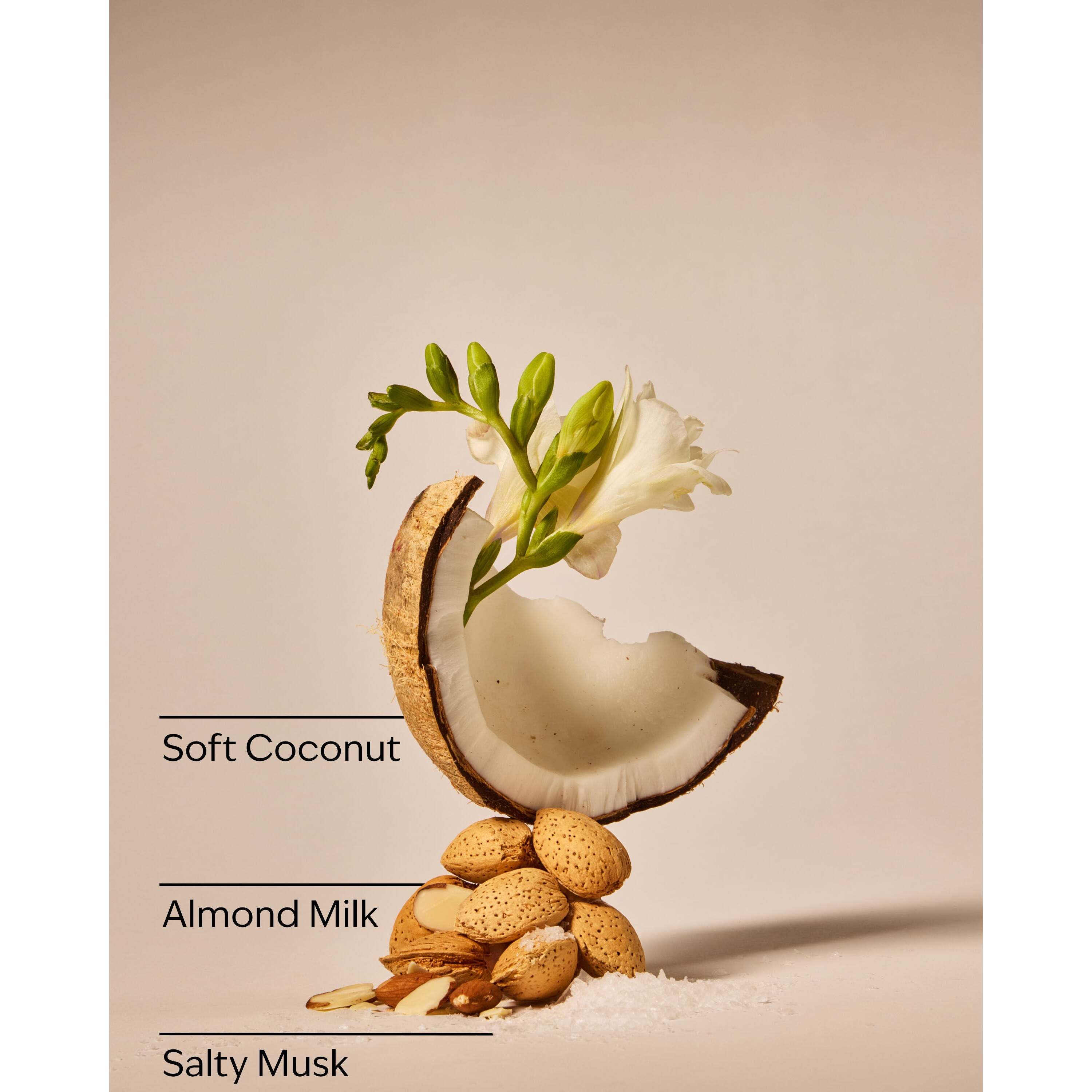 Coconut Linen Gentle & Clean Foaming Hand Soap - Image 3