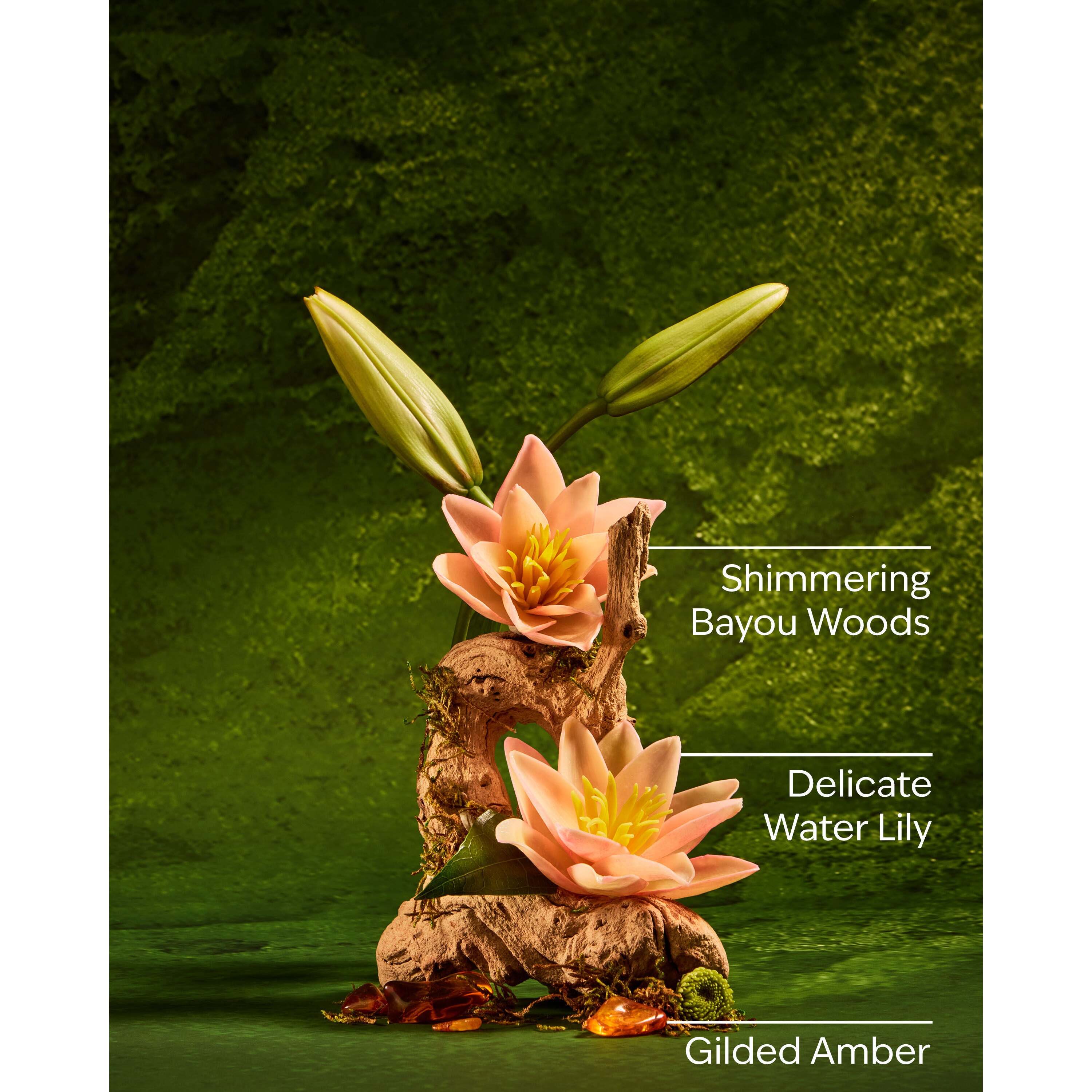 Tiana Ultimate Hydration Body Cream - Image 3