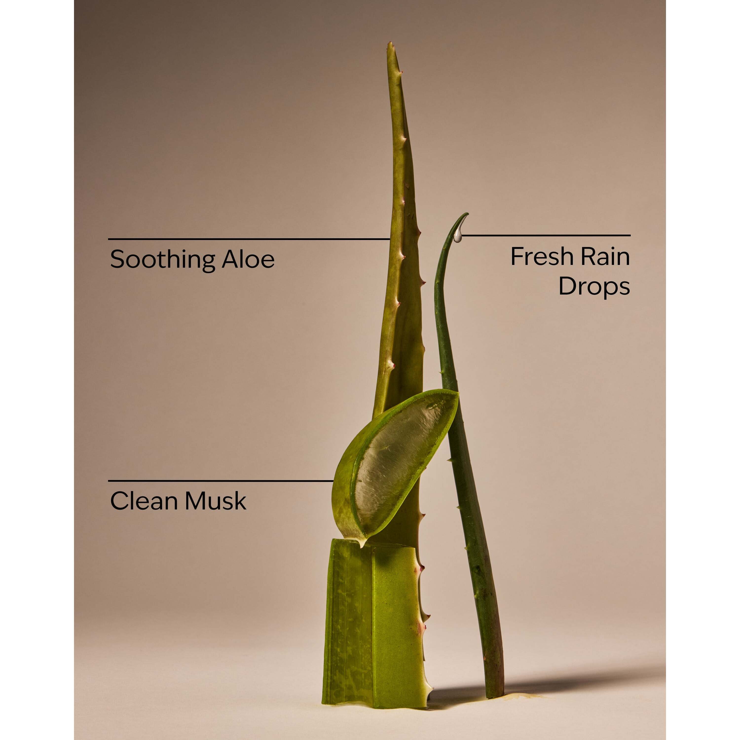 Cool Aloe Water Daily Moisturizing Hand Soap - Image 3