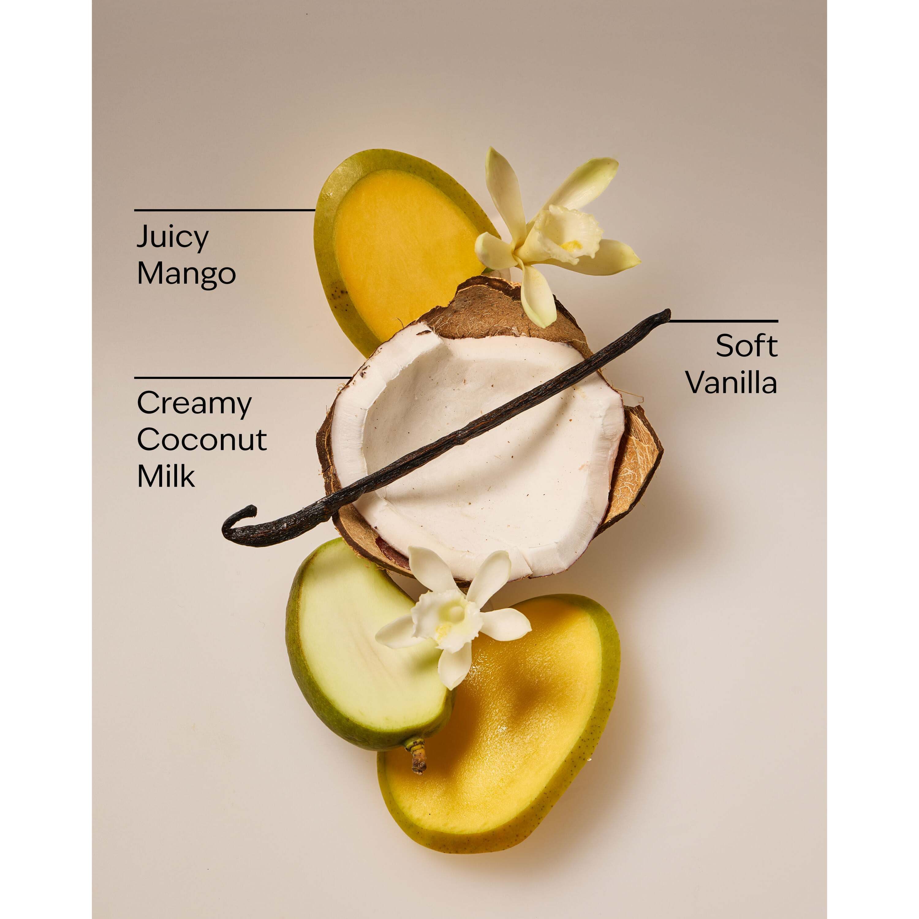 Mango & Coconut Milk Daily Moisturizing Hand Soap - Image 3
