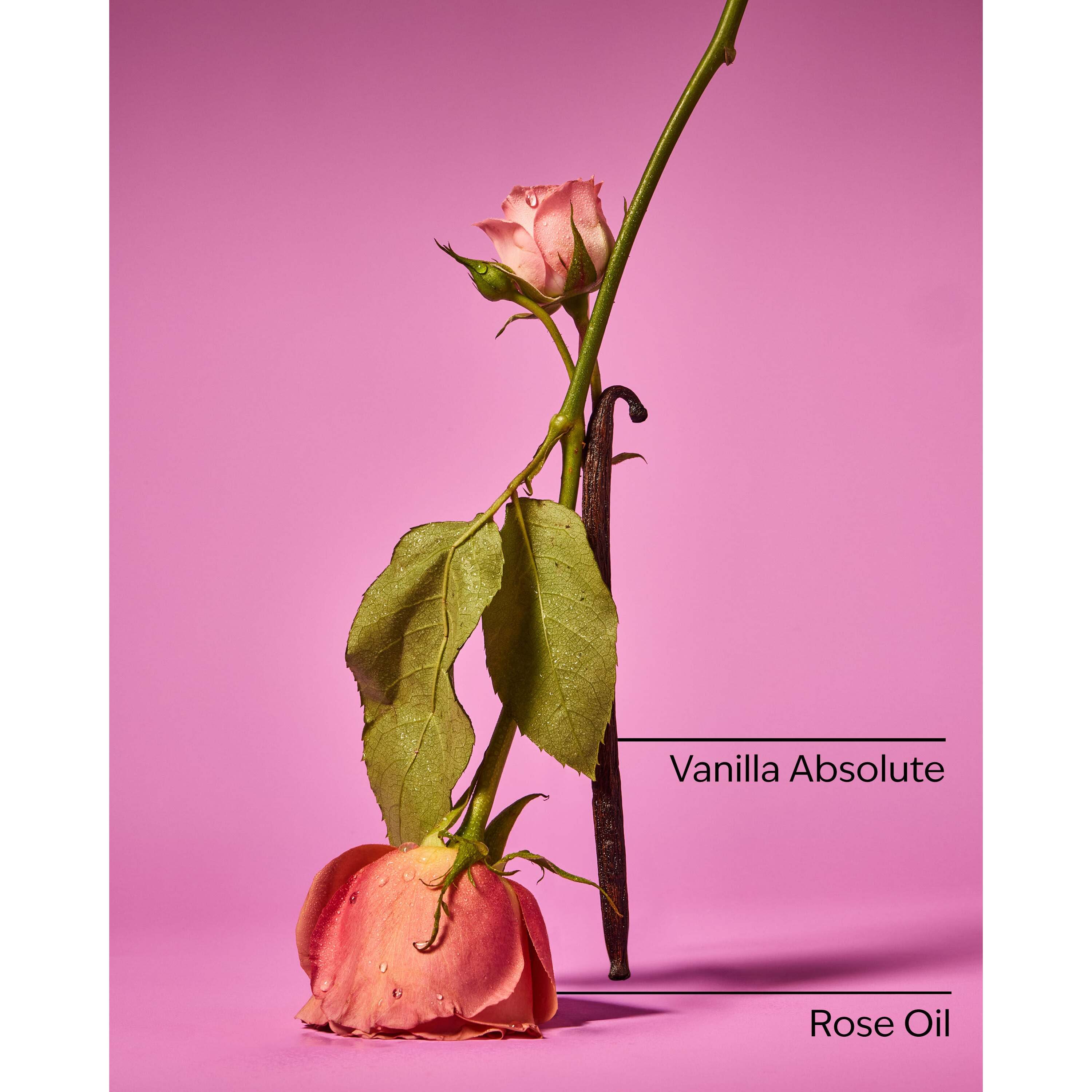Rose Vanilla Body Wash & Foam Bath - Image 3