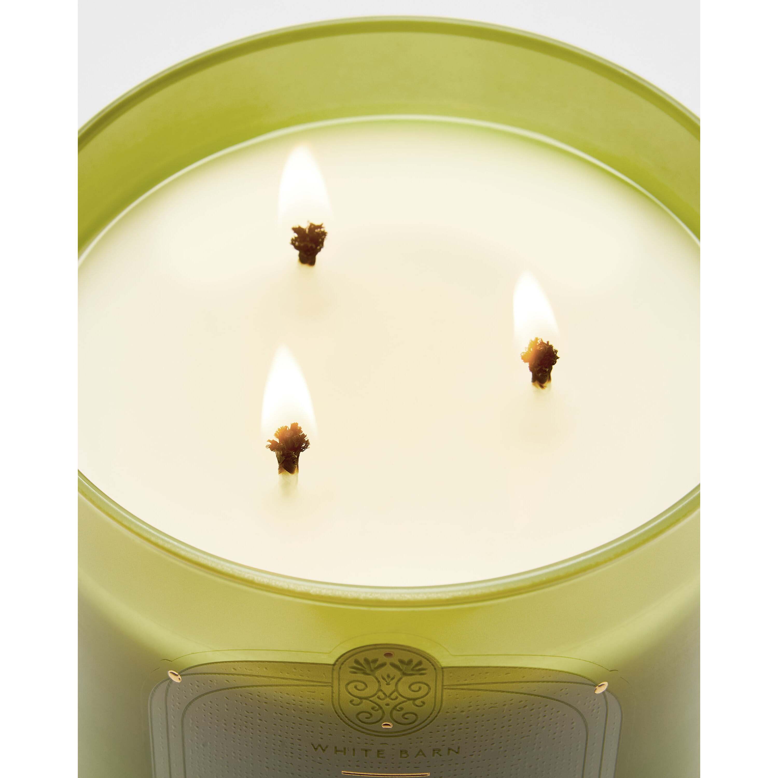 Island Margarita 3-Wick Candle - Image 4
