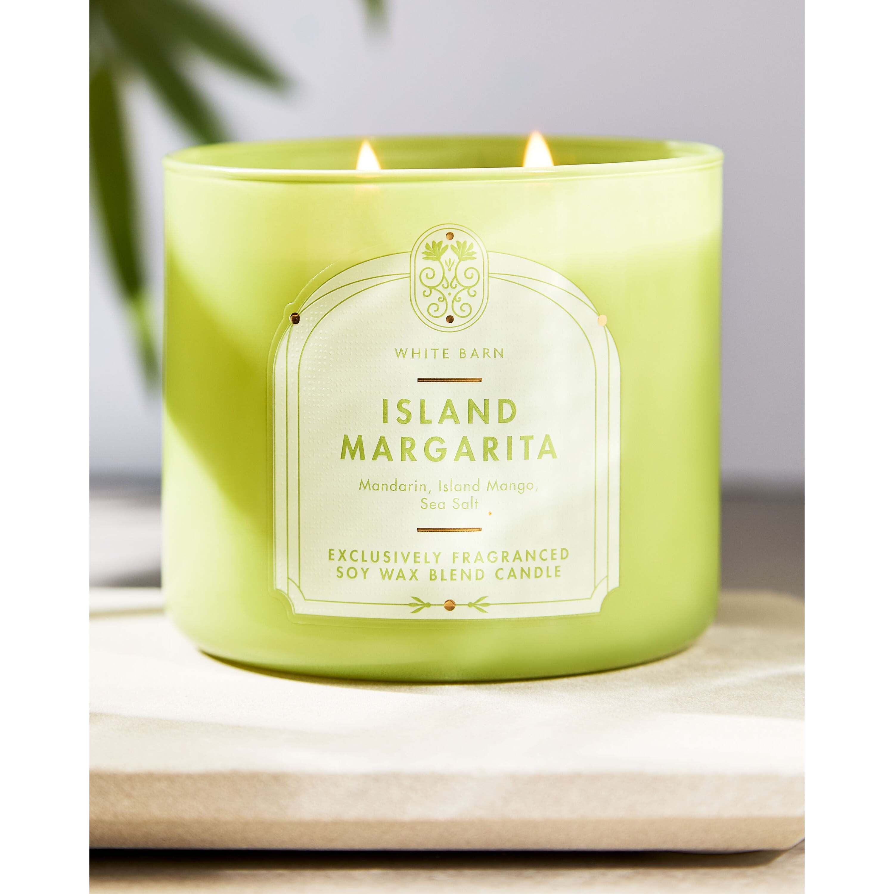 Island Margarita 3-Wick Candle - Image 5