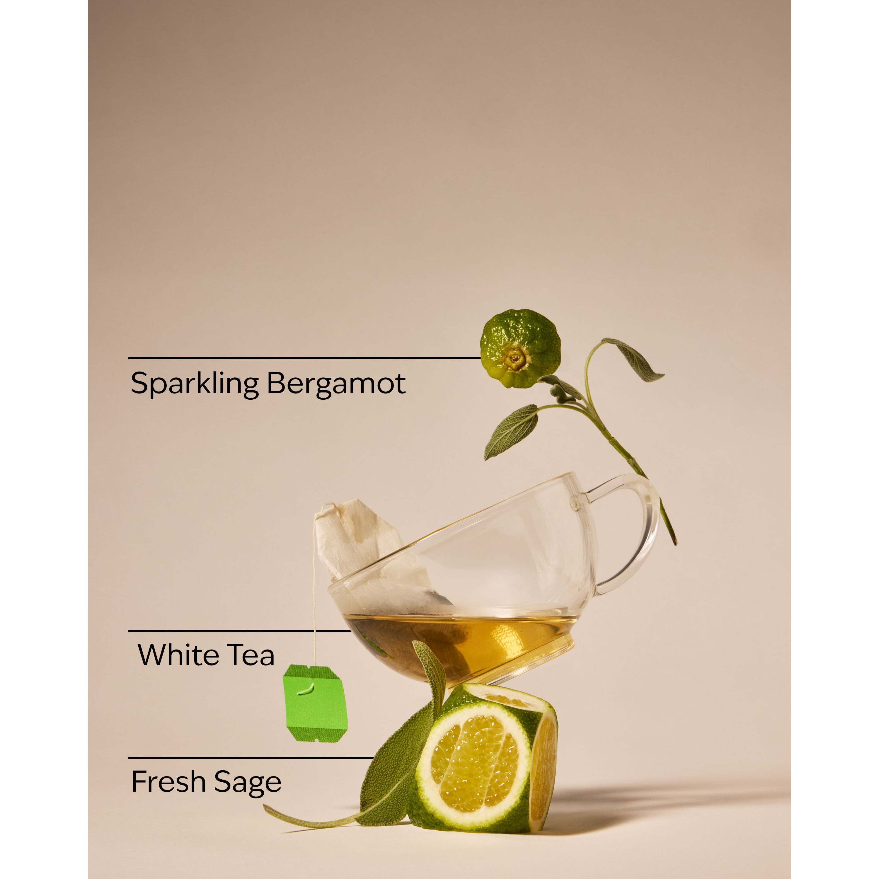 White Tea & Sage Gentle & Clean Foaming Hand Soap - Image 3