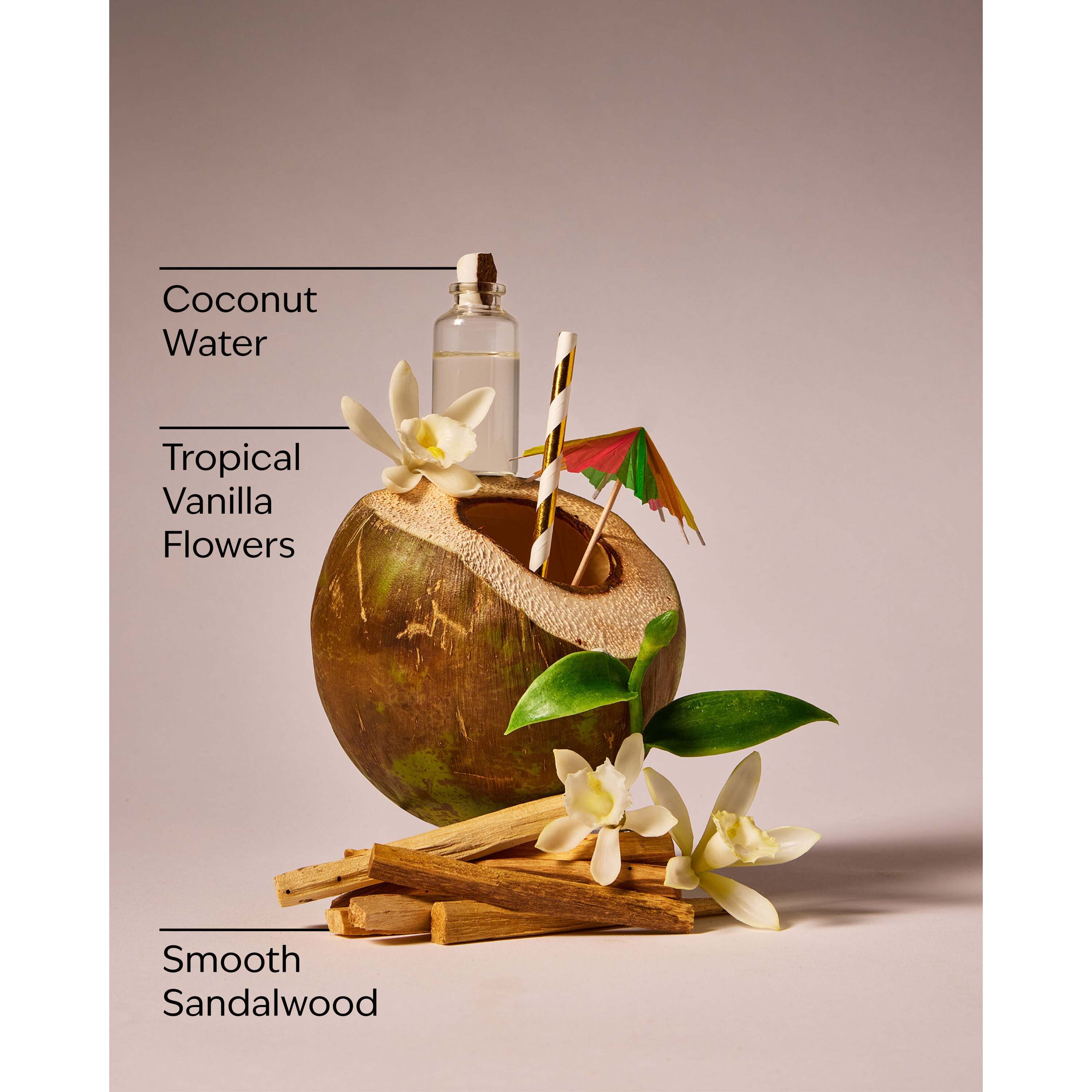 Paradise Vanilla Wallflowers Fragrance Refill - Image 3