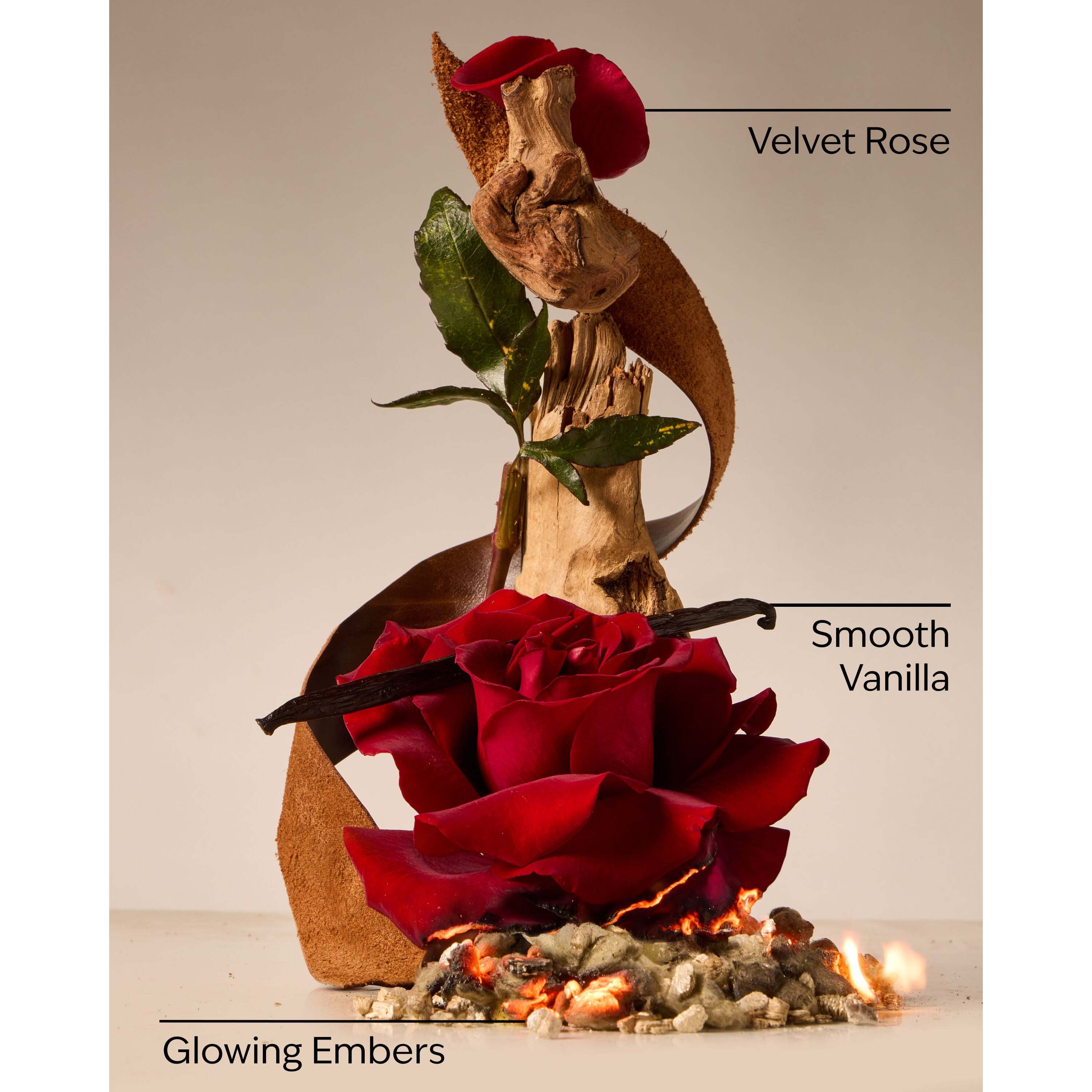Rosewood & Suede 3-Wick Candle - Image 3