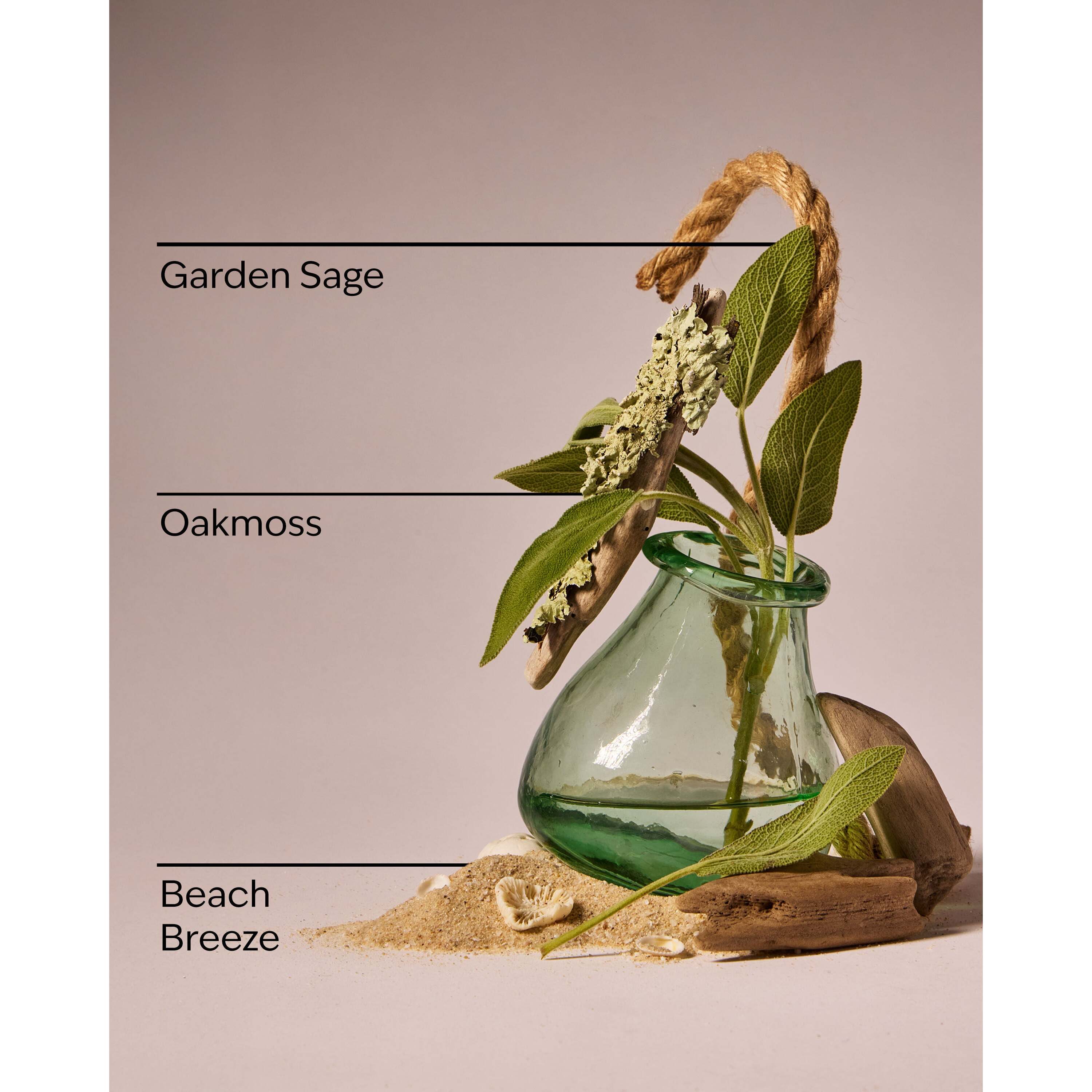 Coastal Cottage 3-Wick Candle - Image 3